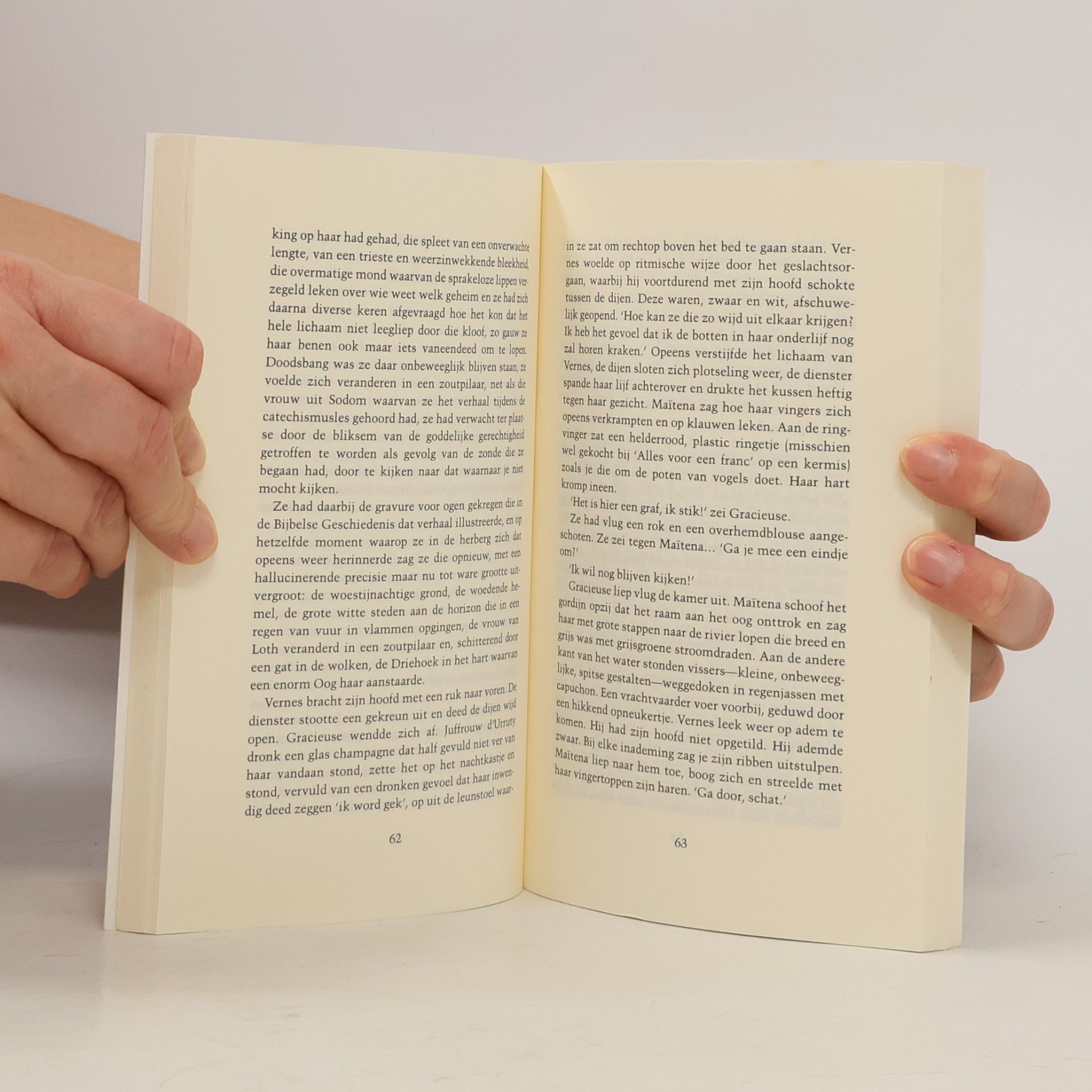 Pierre Bourgeade Het boekenparadijs