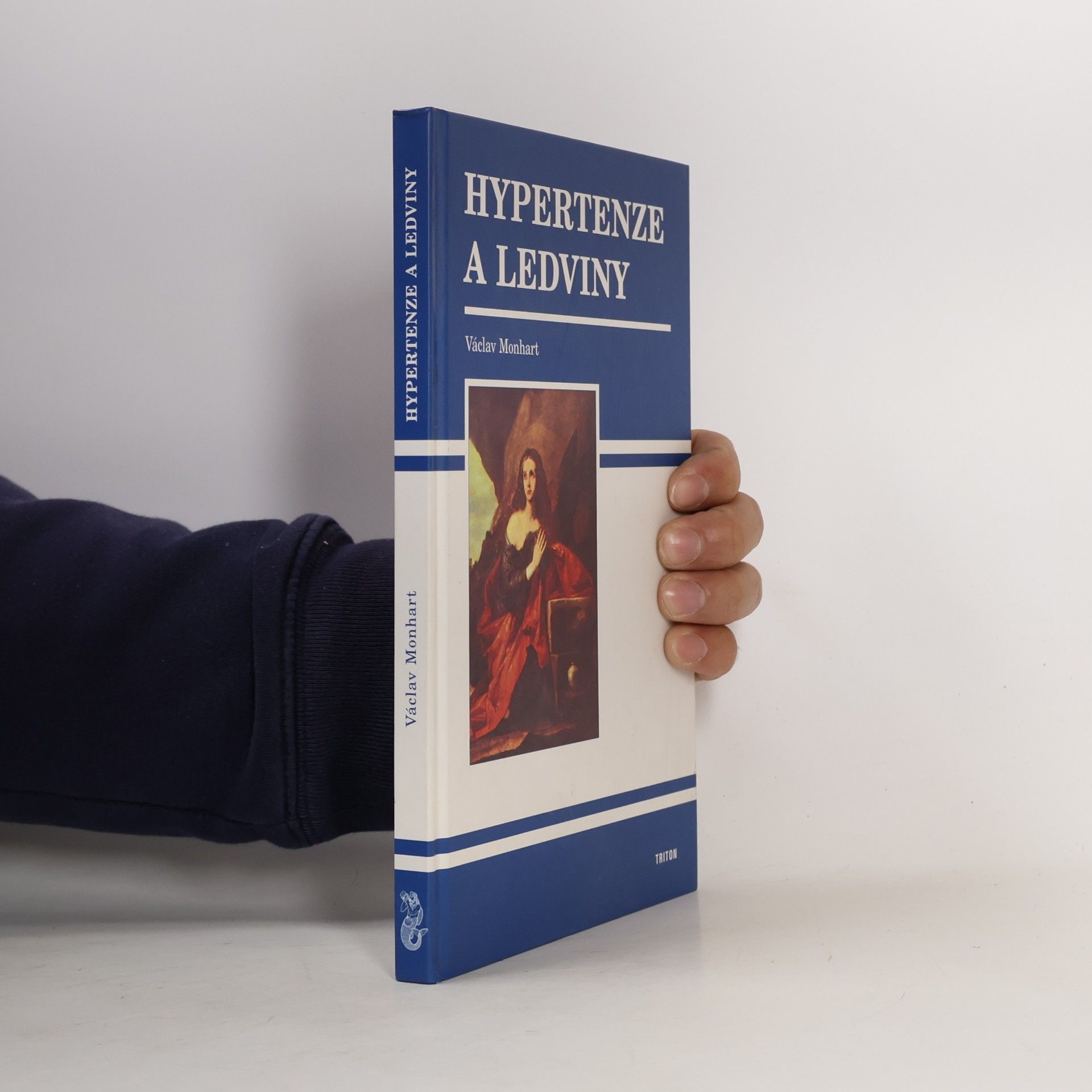 Hypertenze a ledviny