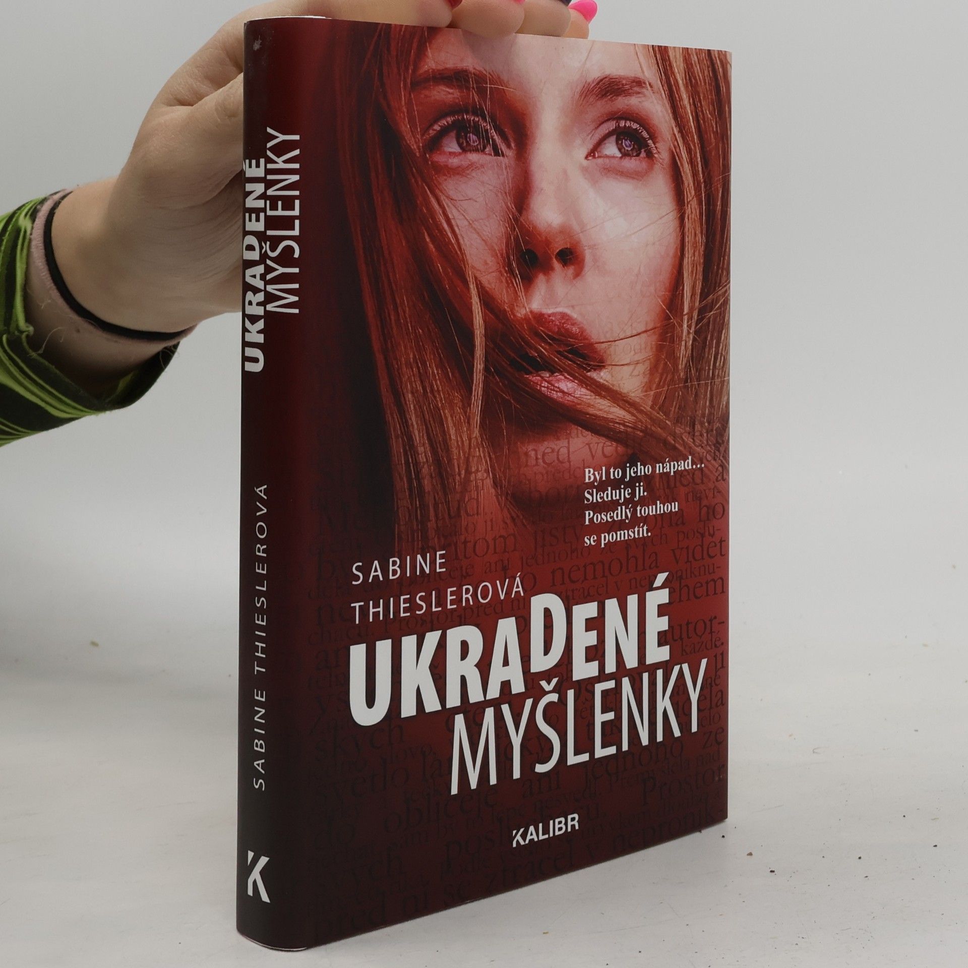 Sabine Thiesler Ukradené myšlenky