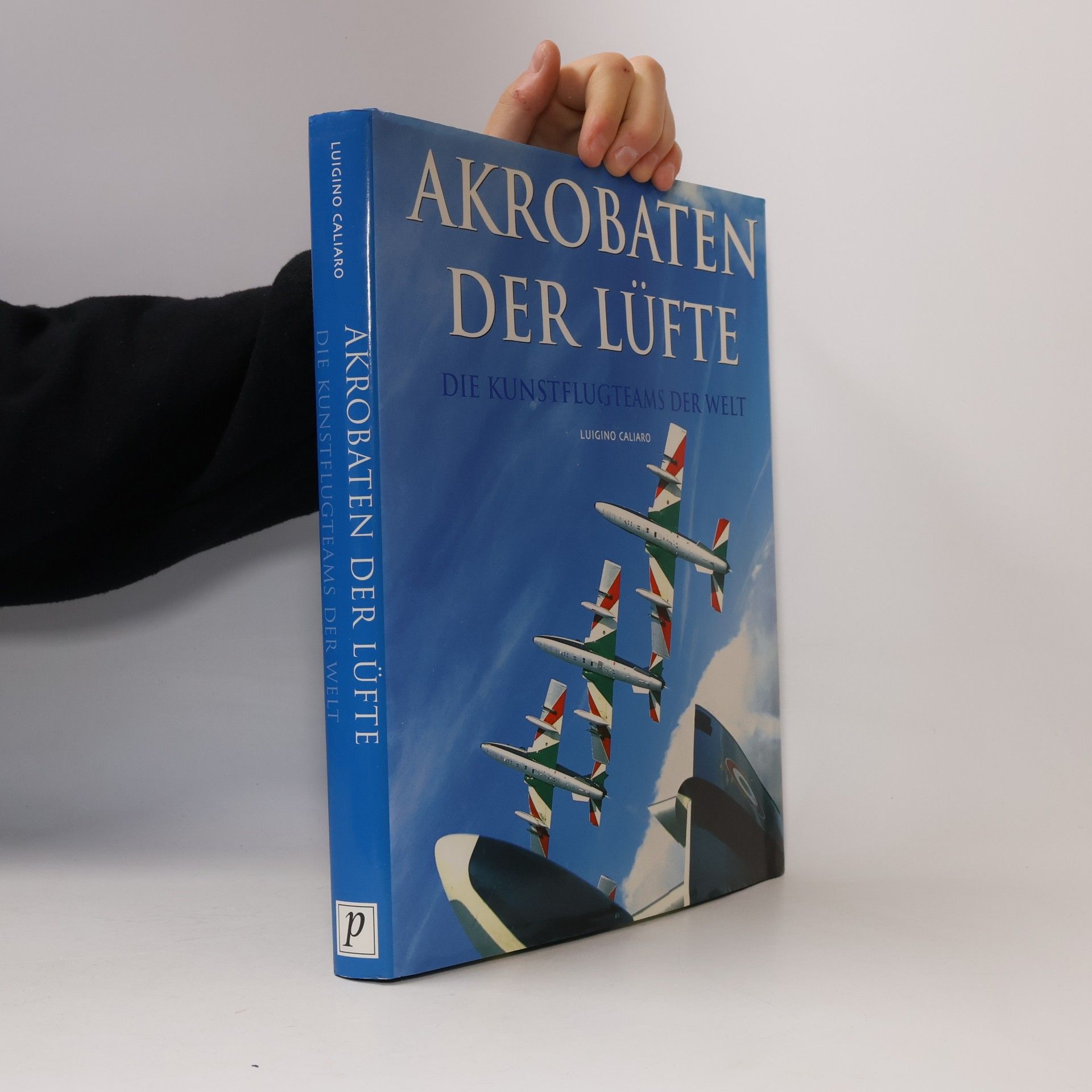 Akrobaten der Lüfte