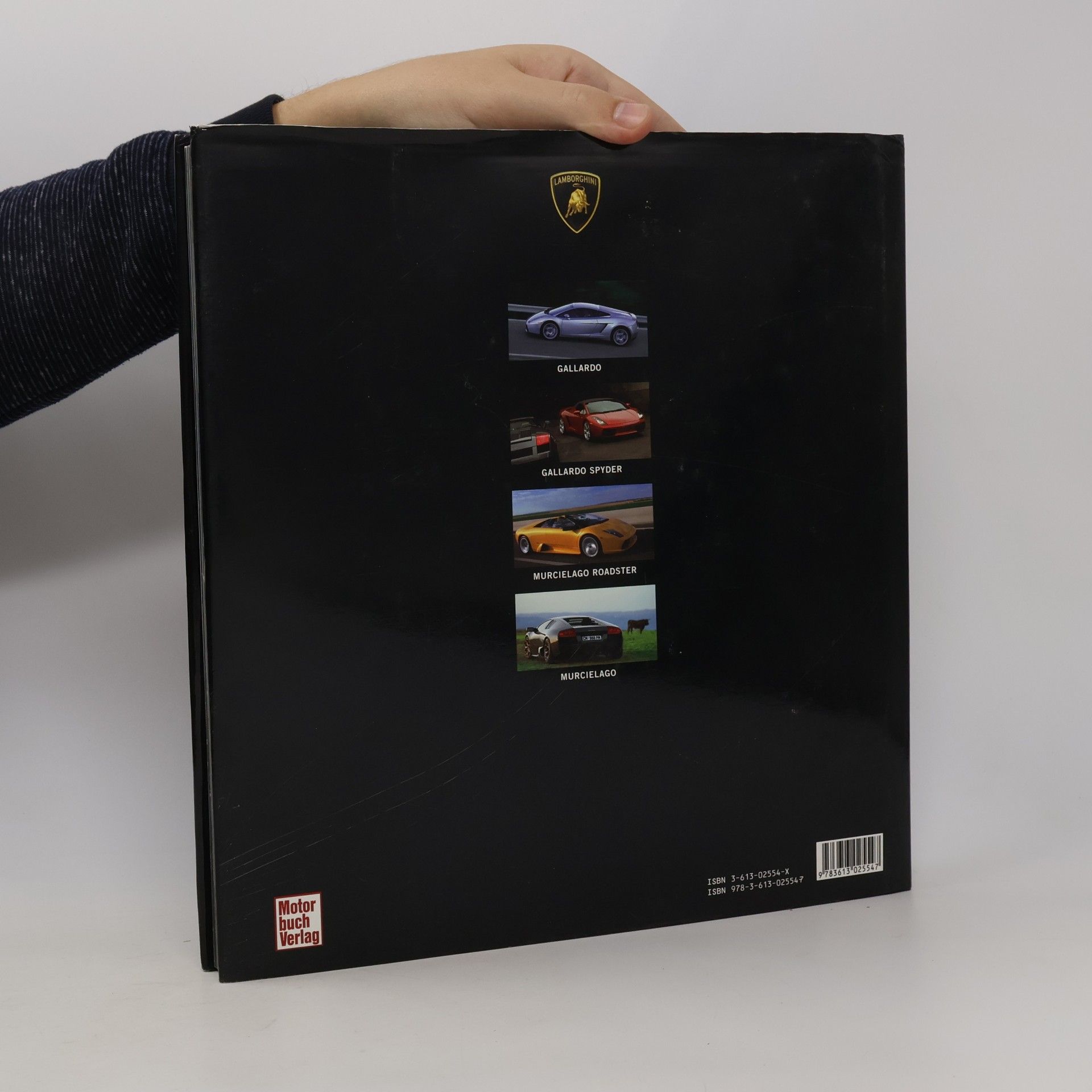 Stephan Grühsem Lamborghini a tempo furioso