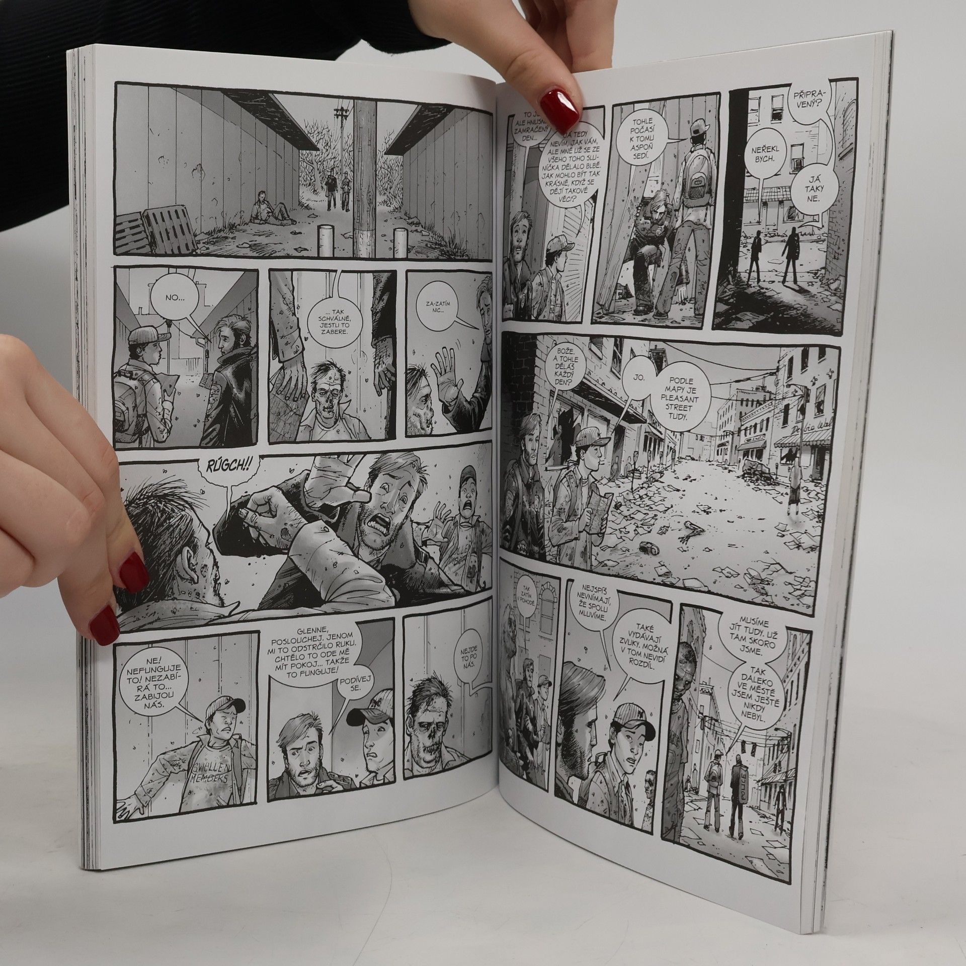 Robert Kirkman Živí mrtví. Díl první, Staré dobré časy