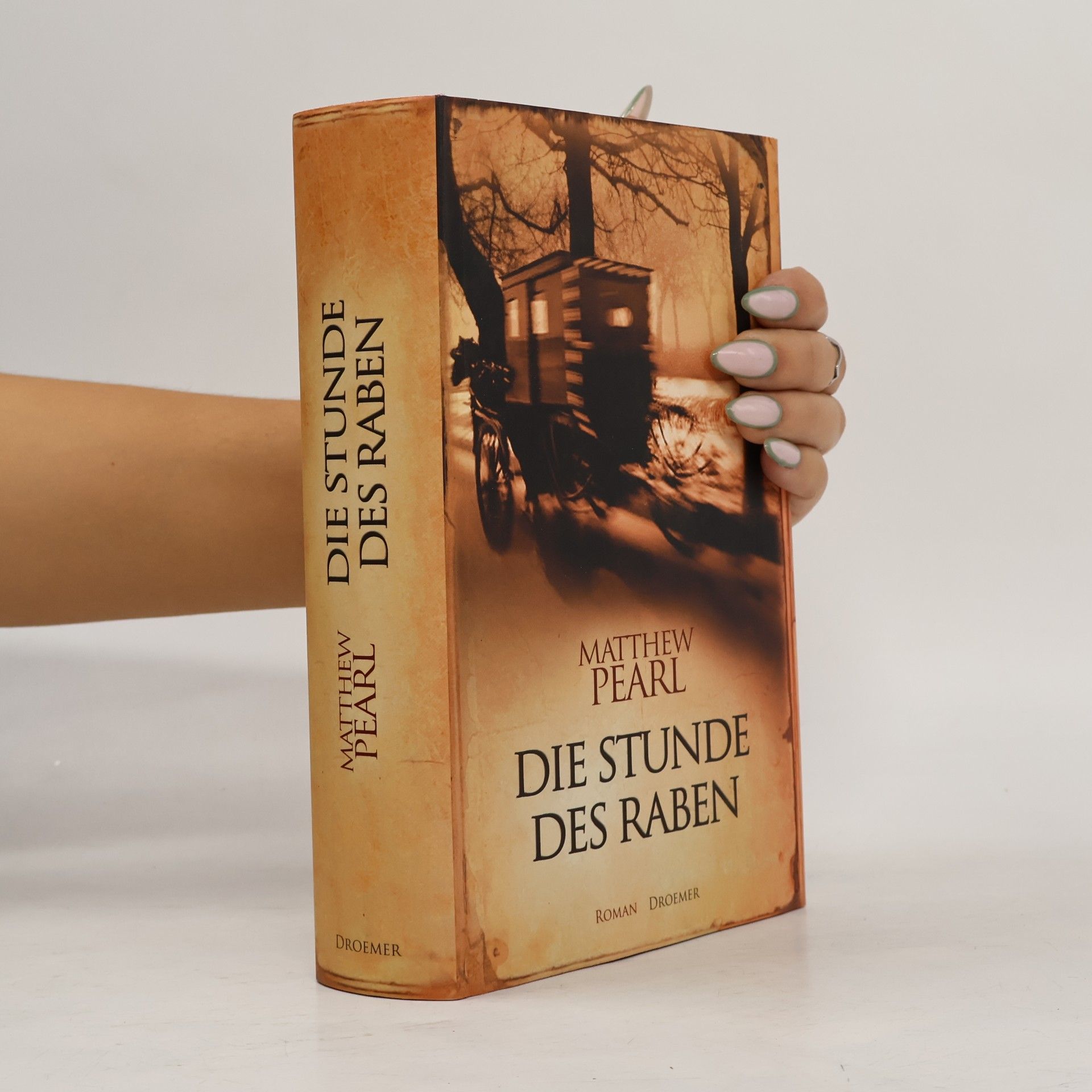 Die Stunde des Raben