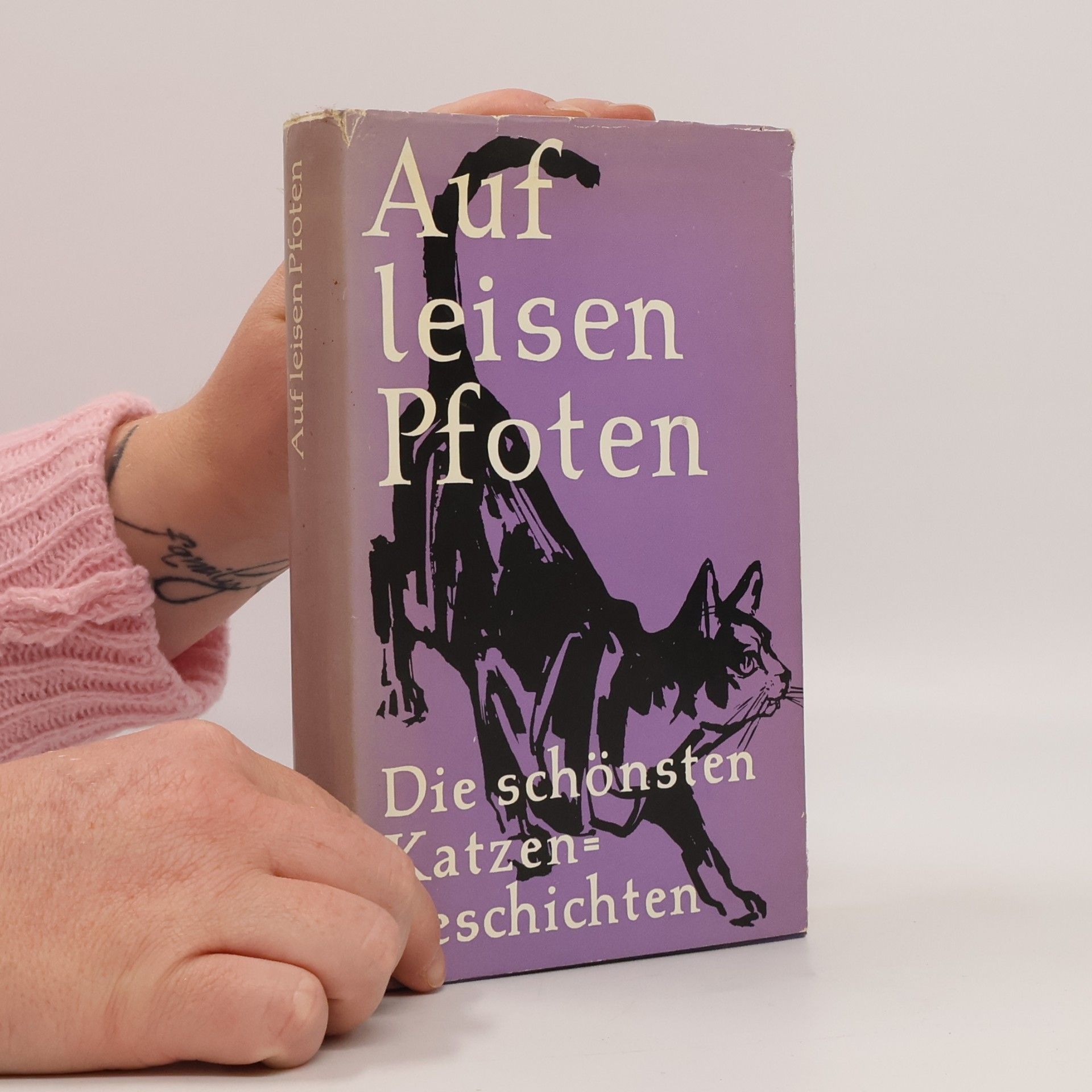 Autorenkollektiv Auf leisen Pfoten