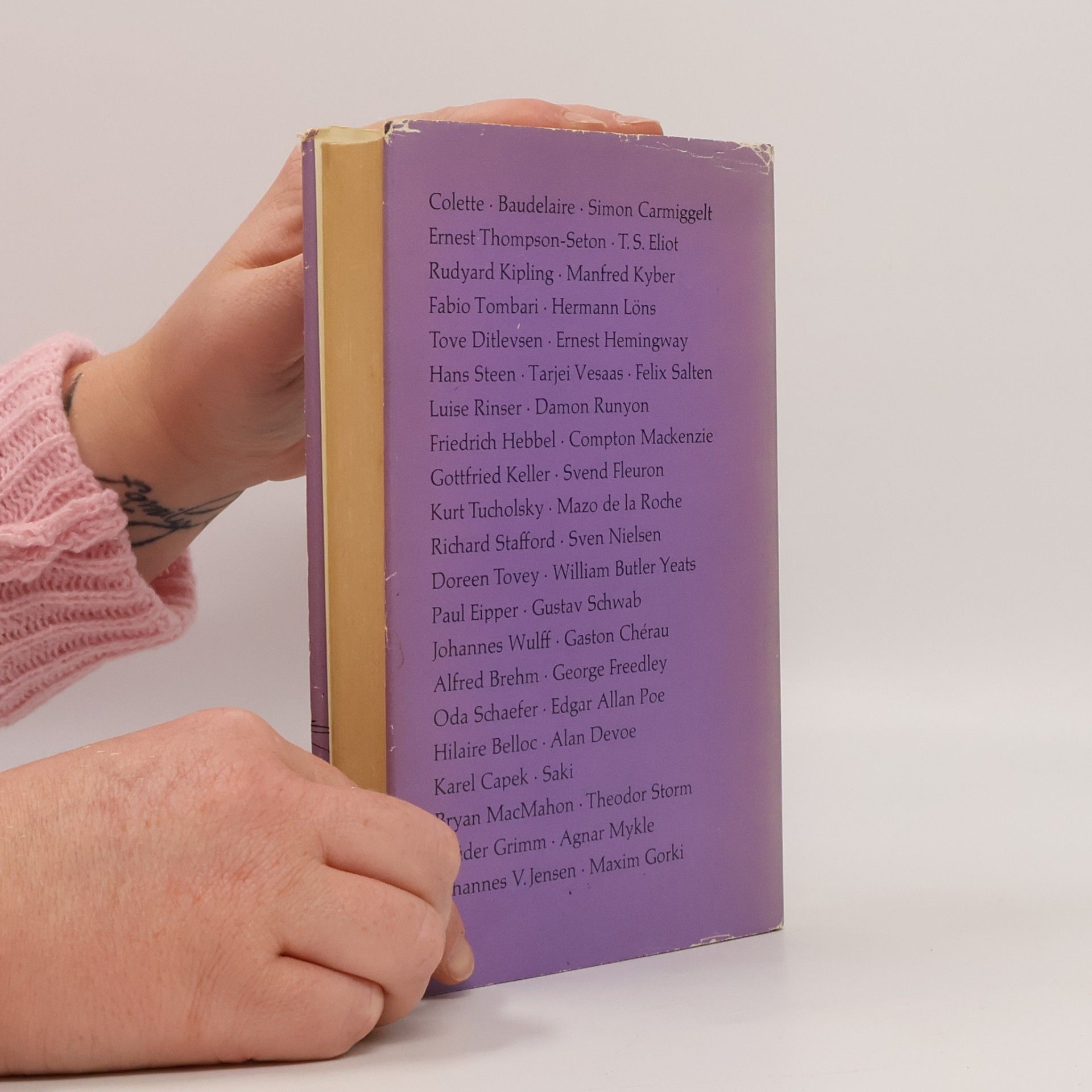 Autorenkollektiv Auf leisen Pfoten