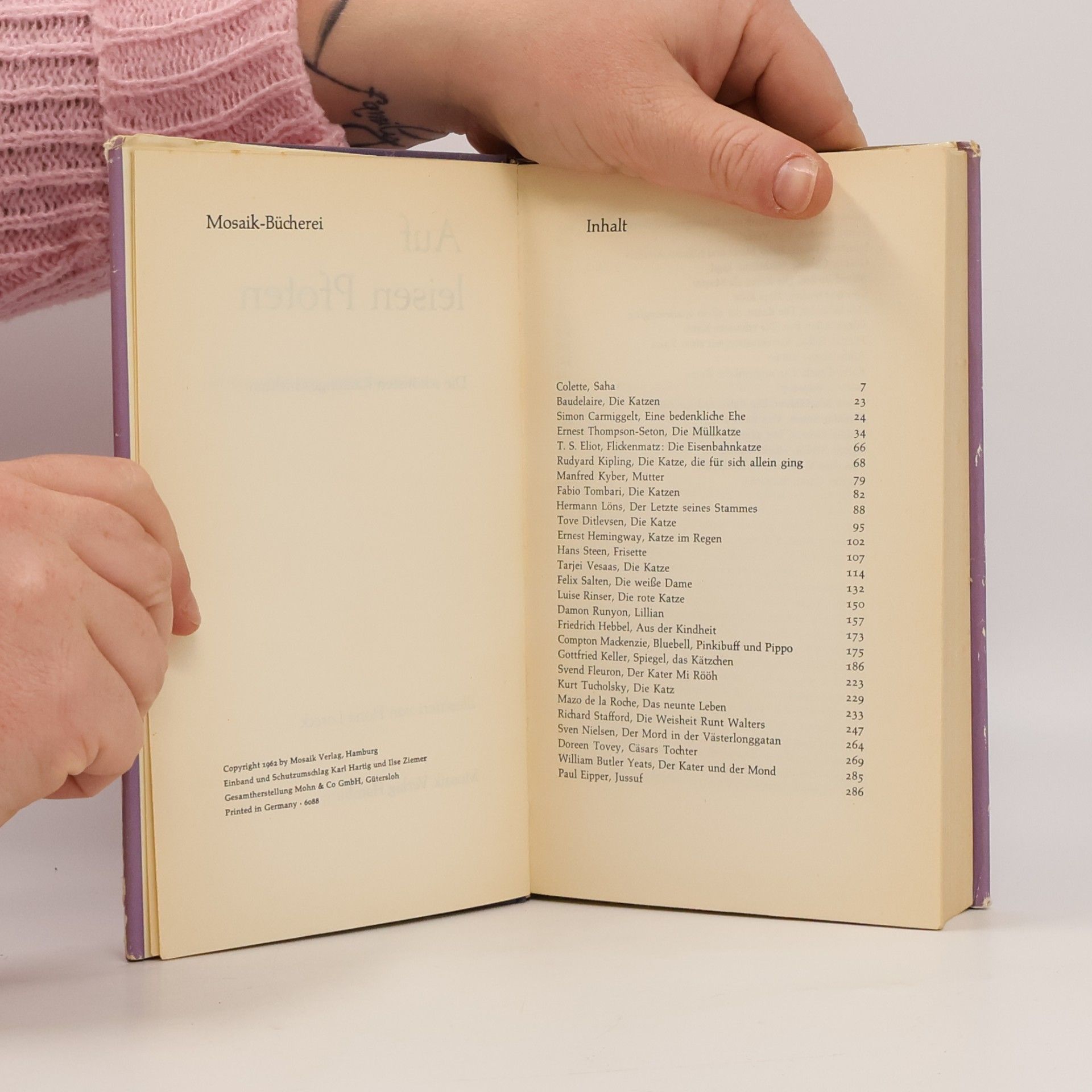 Autorenkollektiv Auf leisen Pfoten