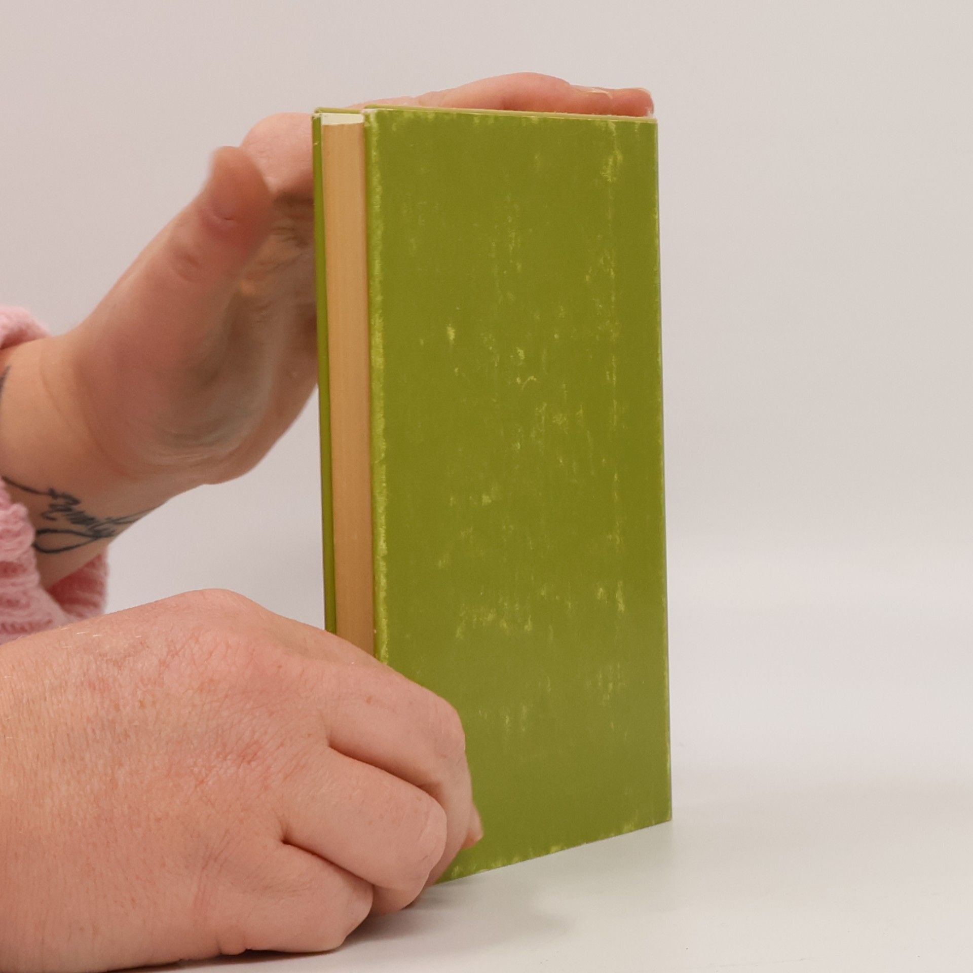 Scholem Alejchem Ein Zwiegespräch. Erzählungen