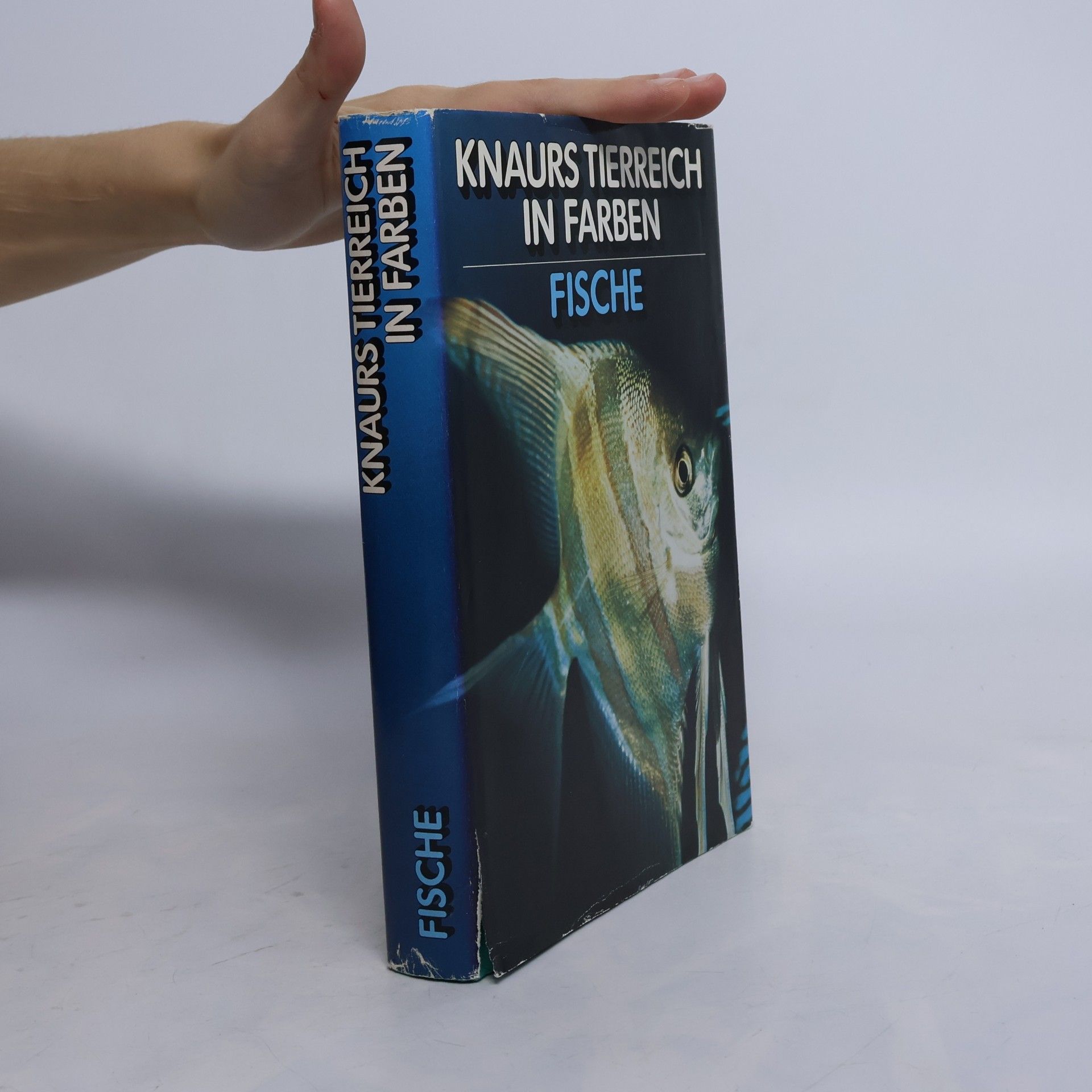 Autorenkollektiv Knaurs Tierreich in Farben. Fische