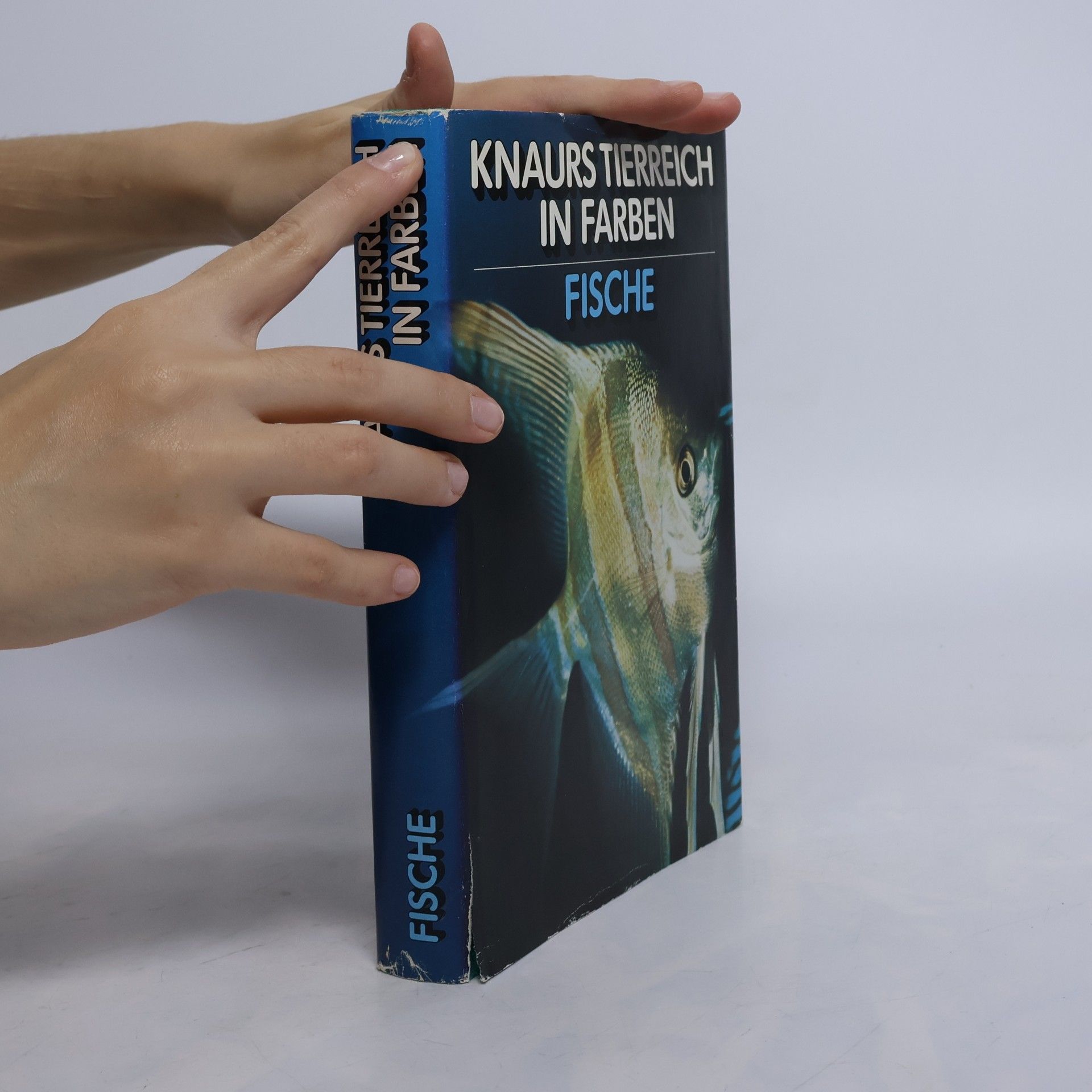 Autorenkollektiv Knaurs Tierreich in Farben. Fische