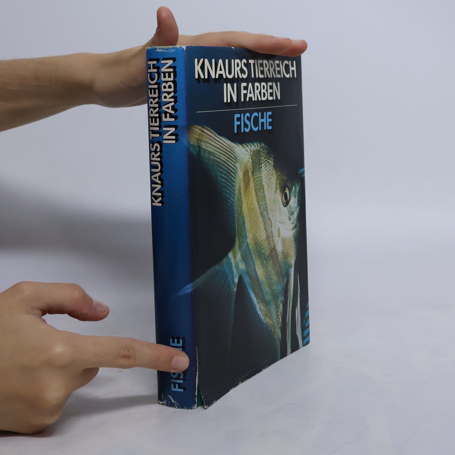 Autorenkollektiv Knaurs Tierreich in Farben. Fische