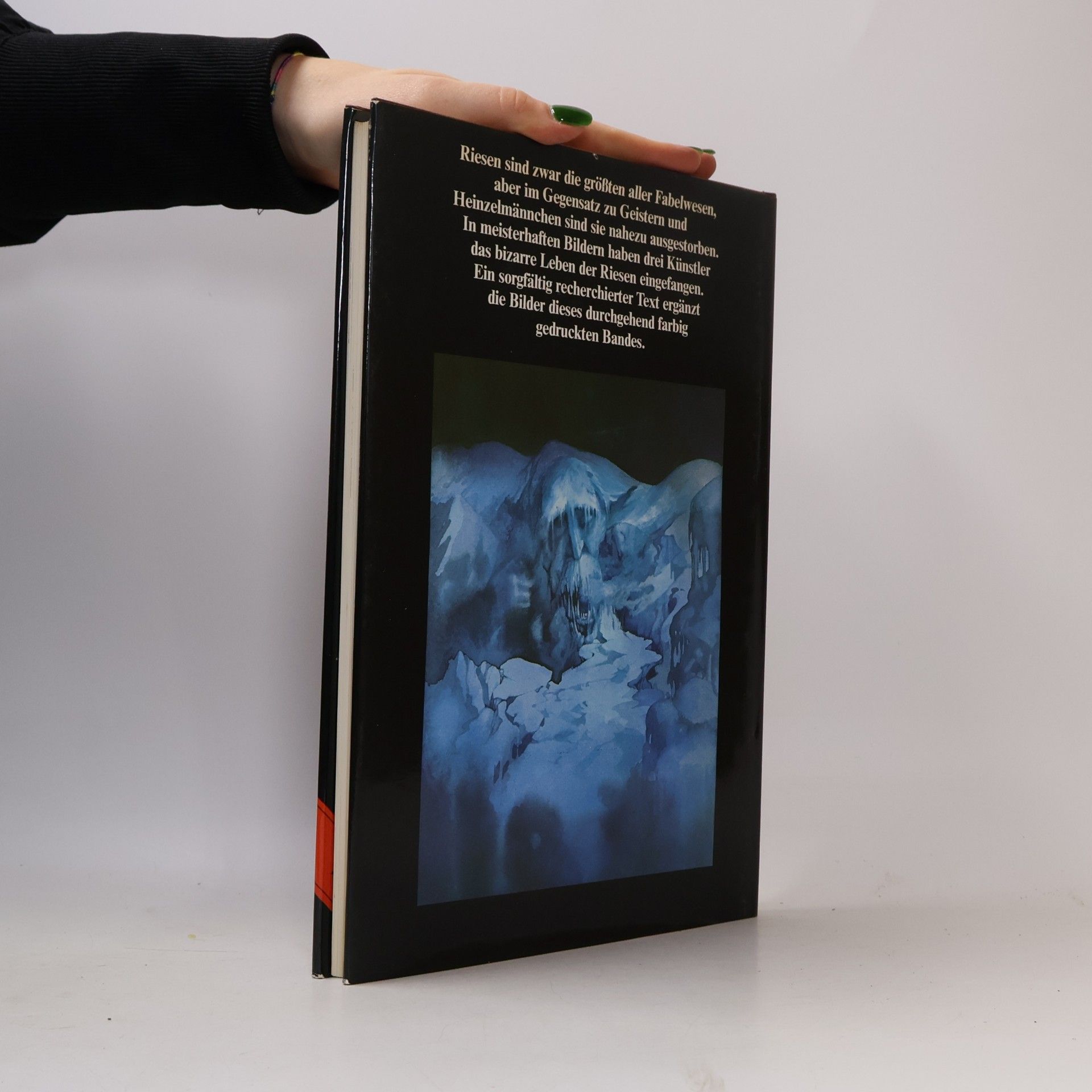 Julek Heller Das grosse Buch der Riesen