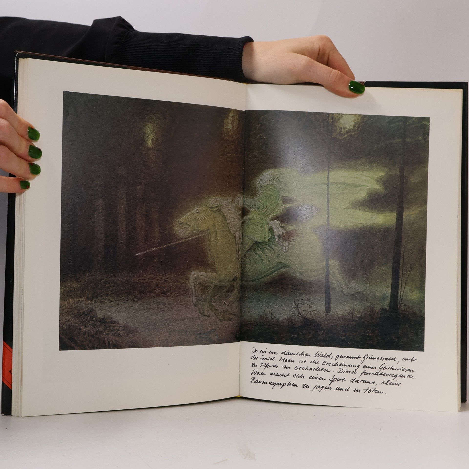 Julek Heller Das grosse Buch der Riesen
