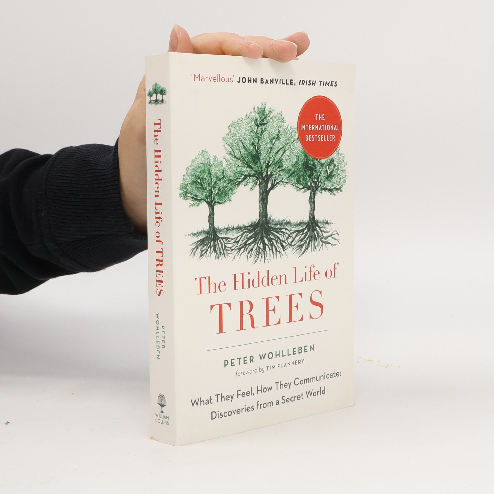 The hidden life of trees