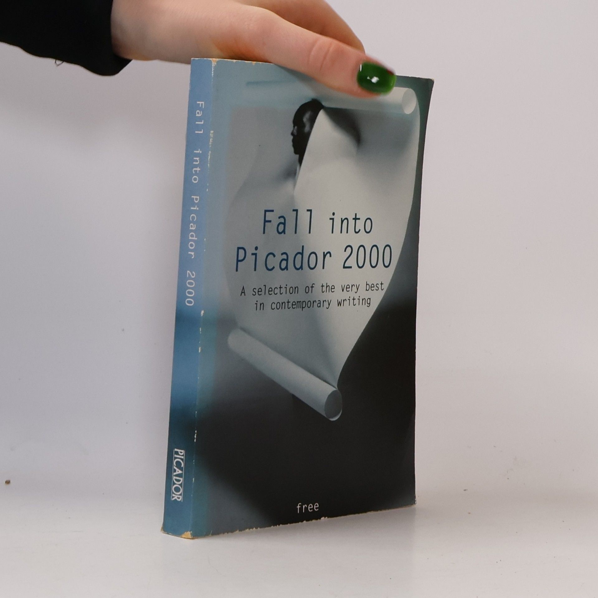 Fall Into Picador