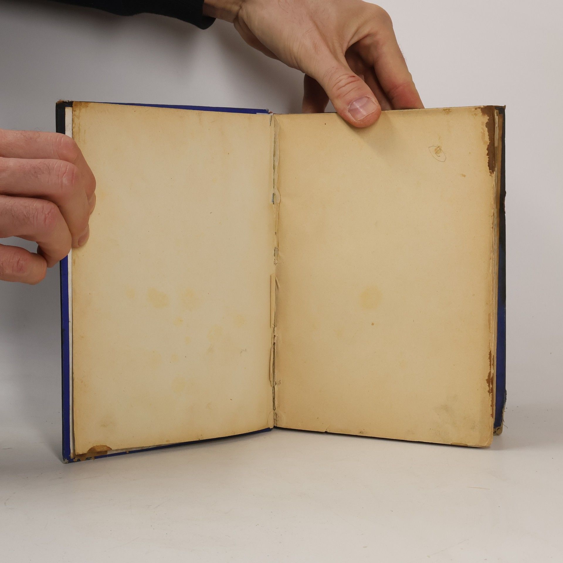 Karl Faulmann Illustrirte Geschichte der Buchdruckerkunst