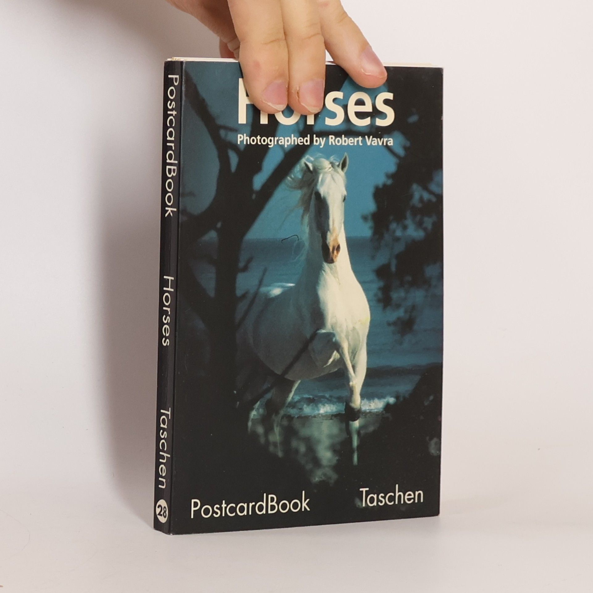 PostcardBook - 28: Horses
