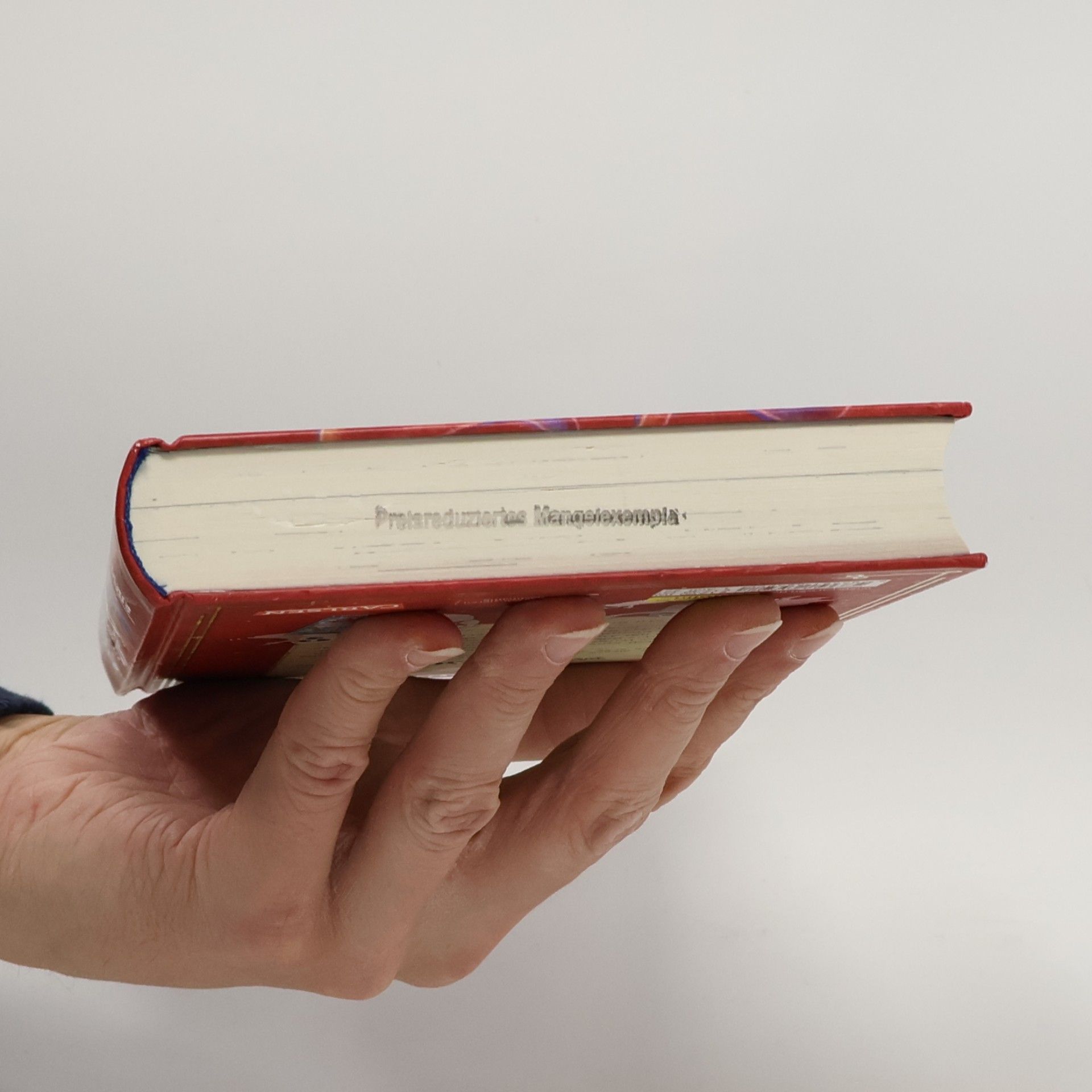 Sabrina J. Kirschner Das Buch der (un)heimlichen Wünsche 2: Plötzlich Superheld