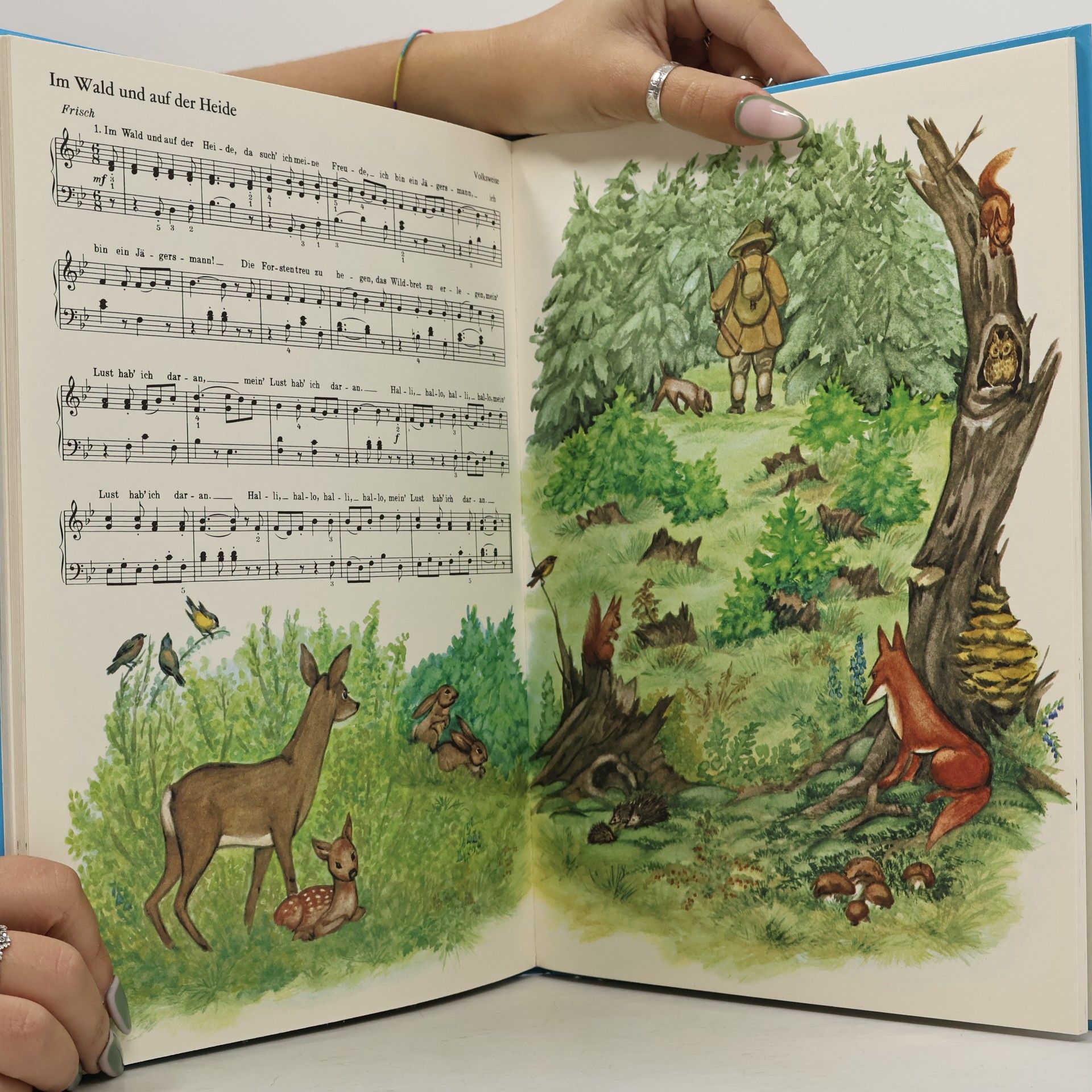 Franz Burkhart Das große Buch der Kinderlieder
