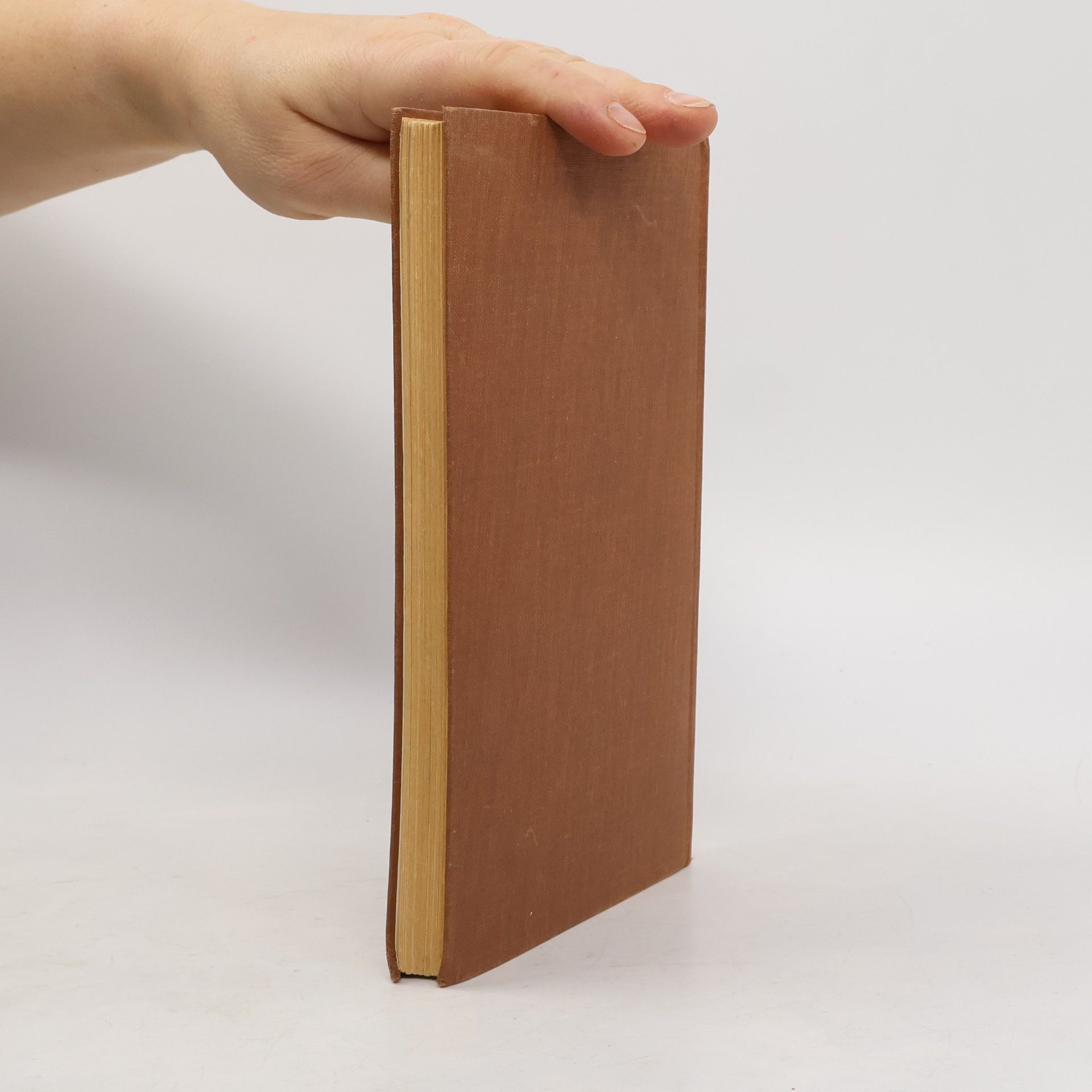 Wilson Die Schriftrollen