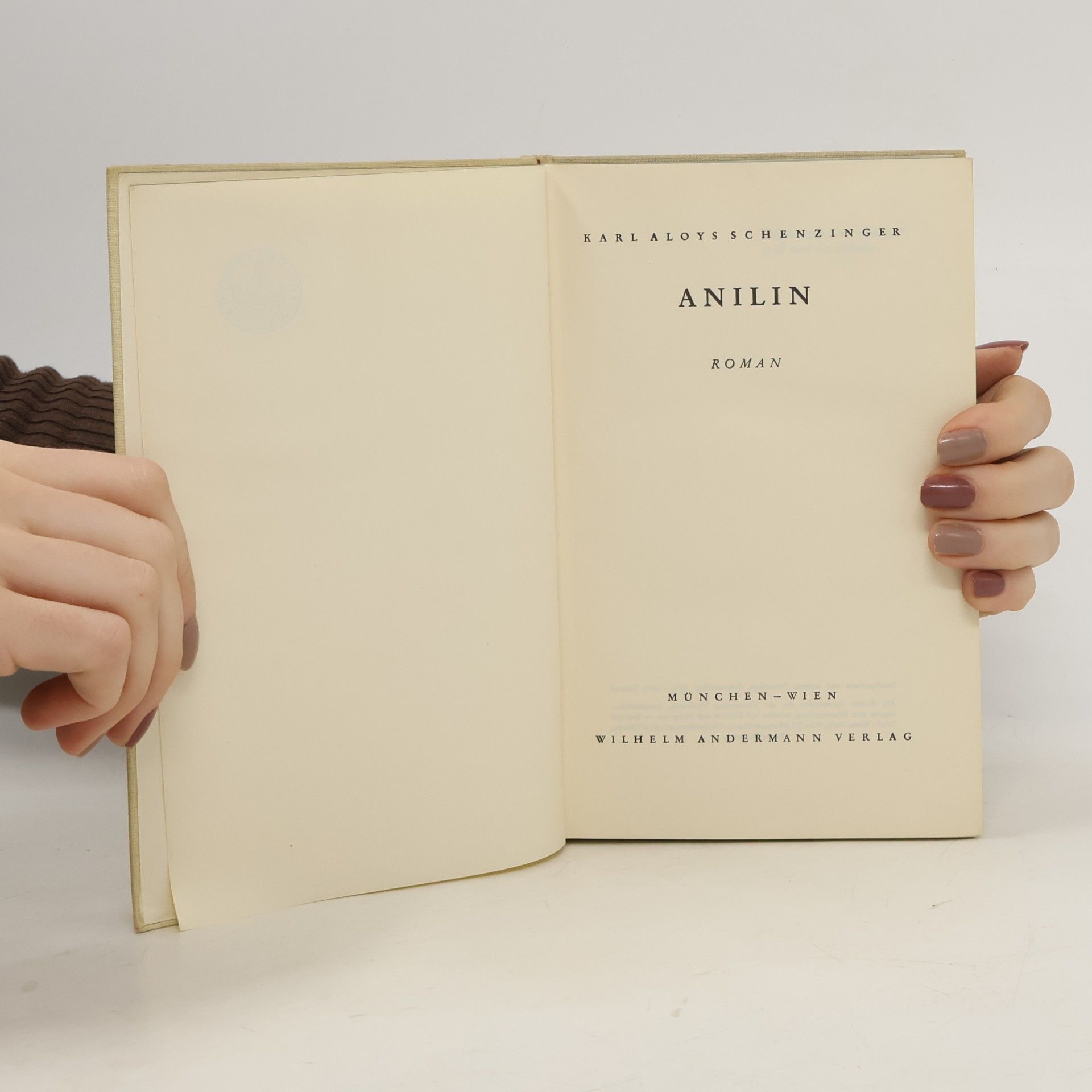 Karl Aloys Schenzinger Anilin