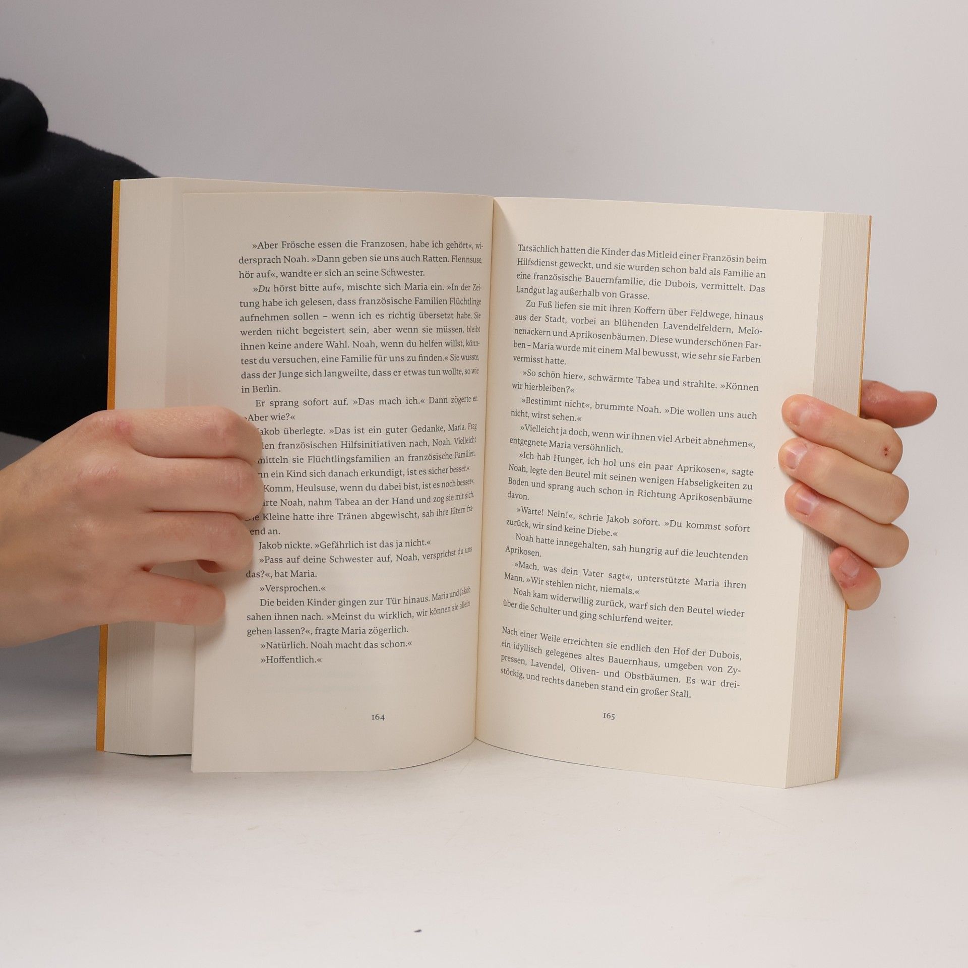 Anna Claire Die Glücksfrauen - Die Kraft der Bücher