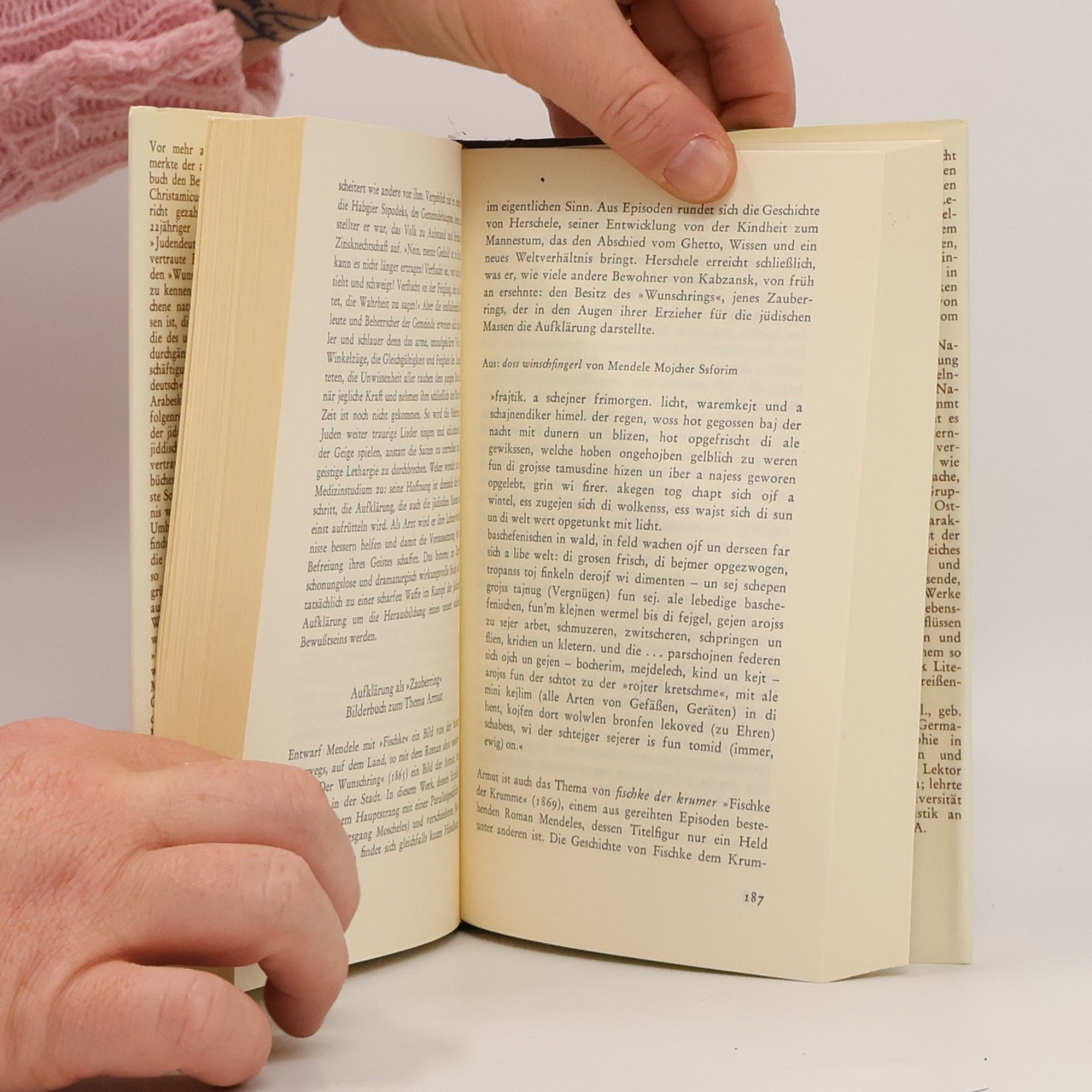 Otto Ferdinand Best Mameloschen. Jiddisch, eine Sprache und ihre Literatur