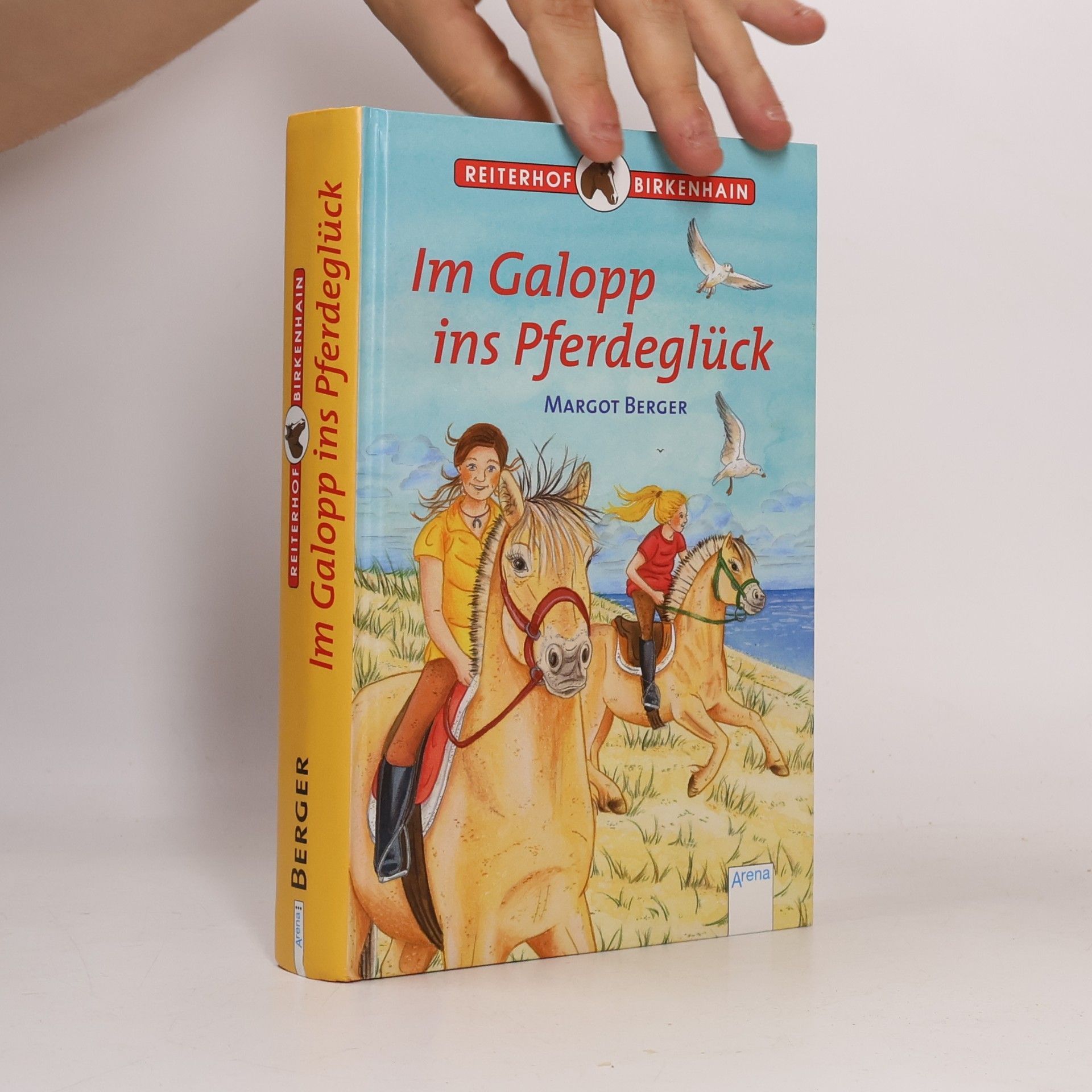 Reiterhof Birkenhain - Im Galopp ins Pferdeglück