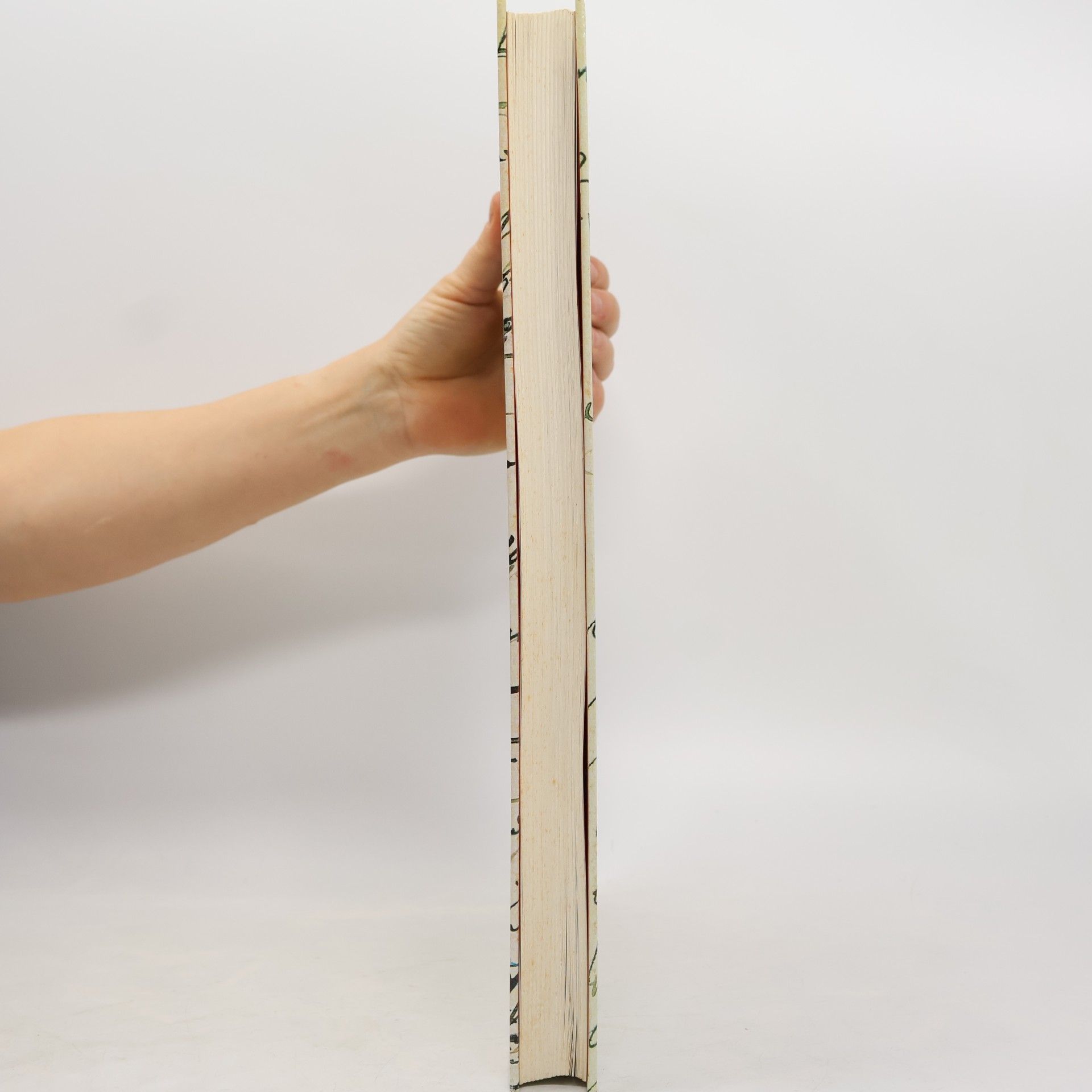 Jochen Meyer Dichterhandschriften