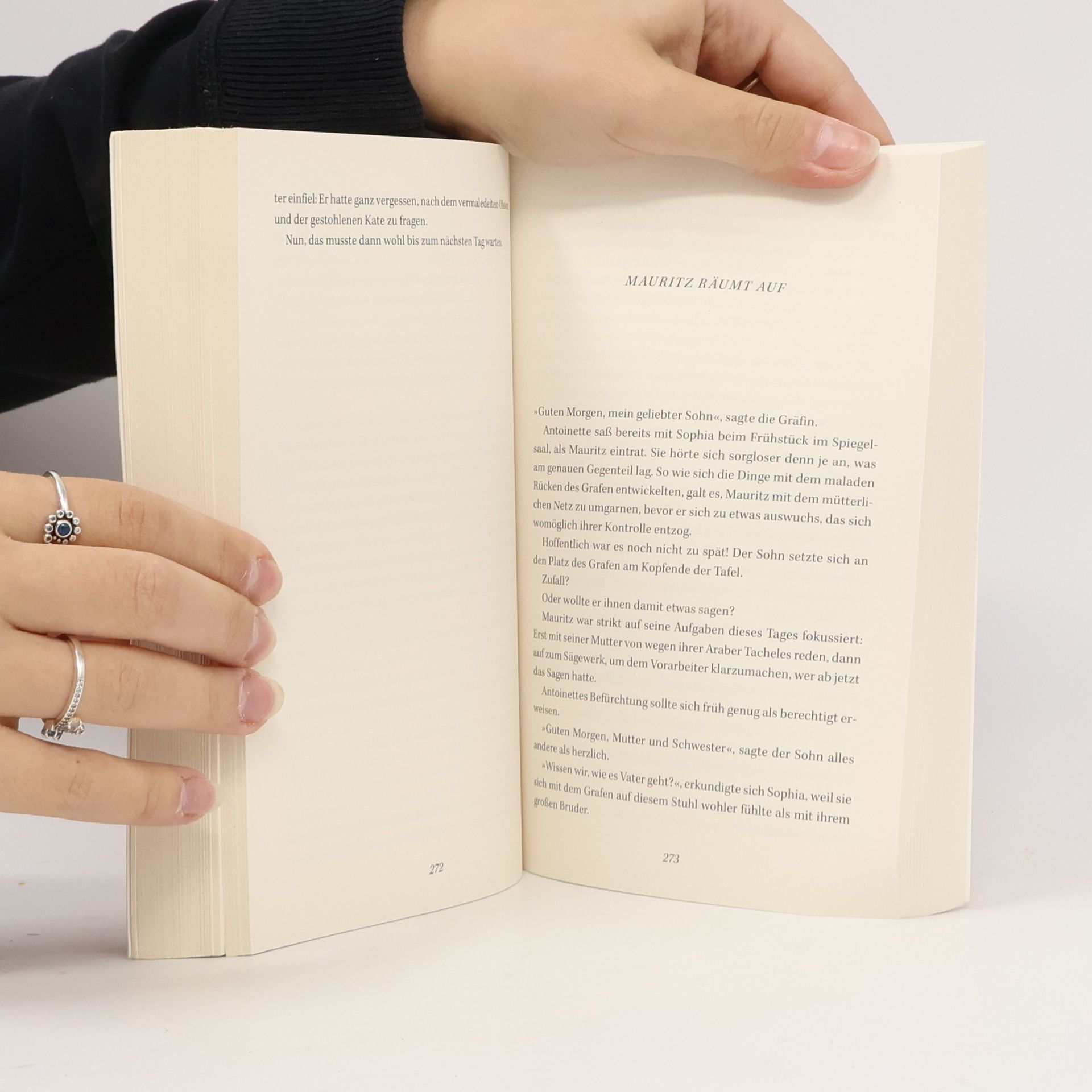 Jonasson, Jonas Der verliebte Schwarzbrenner und wie er die Welt sah: Roman - Der neue große Roman des internationalen Bestsellerautors jetzt im Taschenbuch!