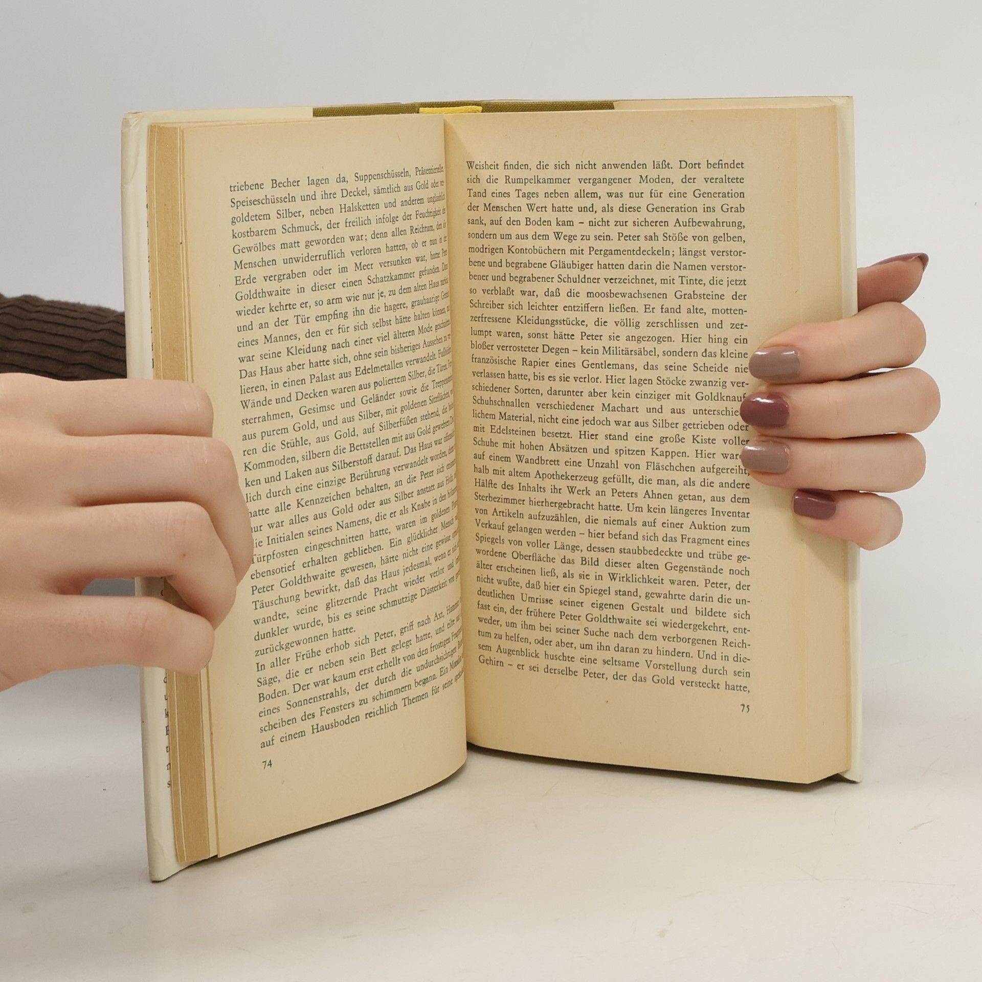 Nathaniel Hawthorne Mr. Higginbothams Verhängnis. Ausgewählte Erzählungen
