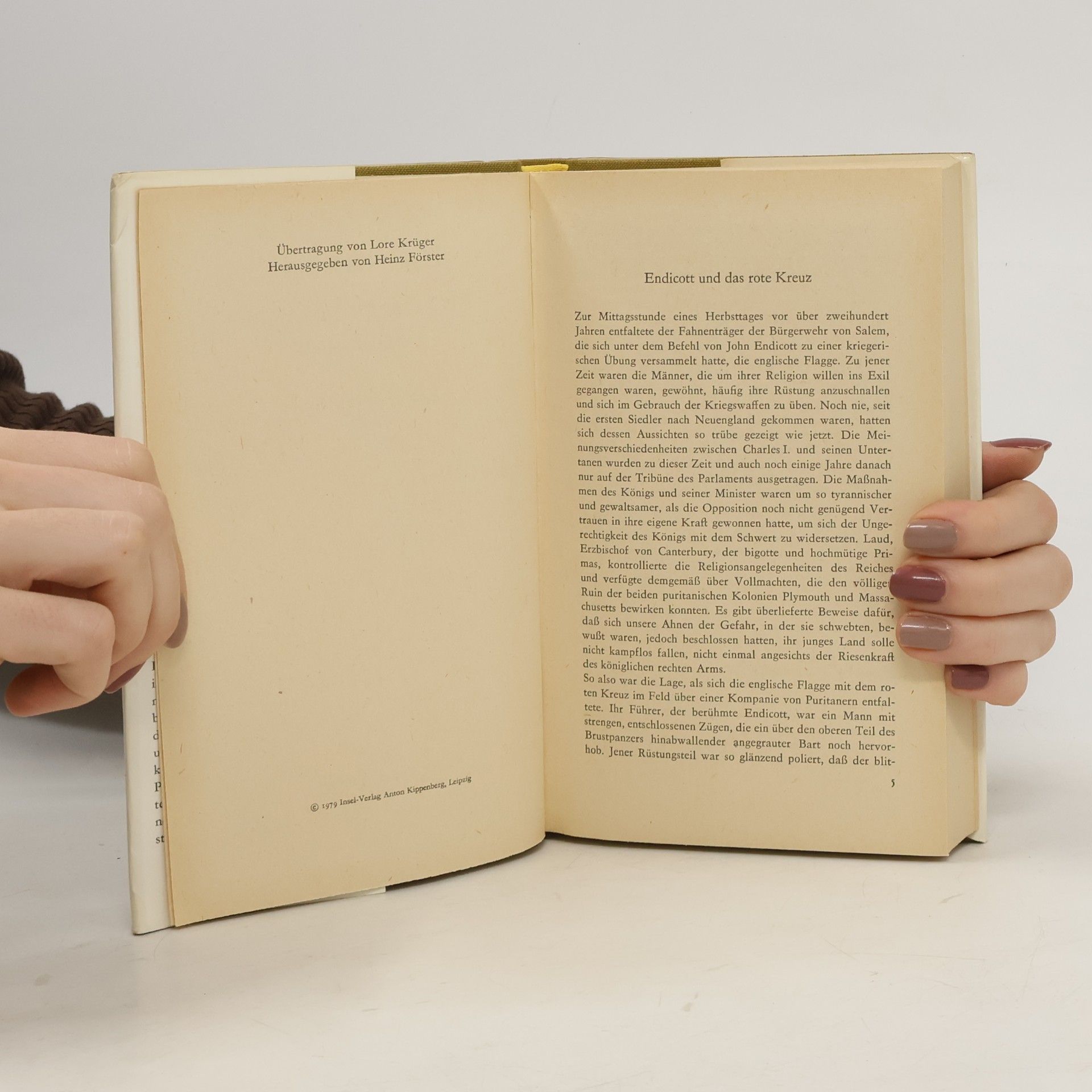 Nathaniel Hawthorne Mr. Higginbothams Verhängnis. Ausgewählte Erzählungen