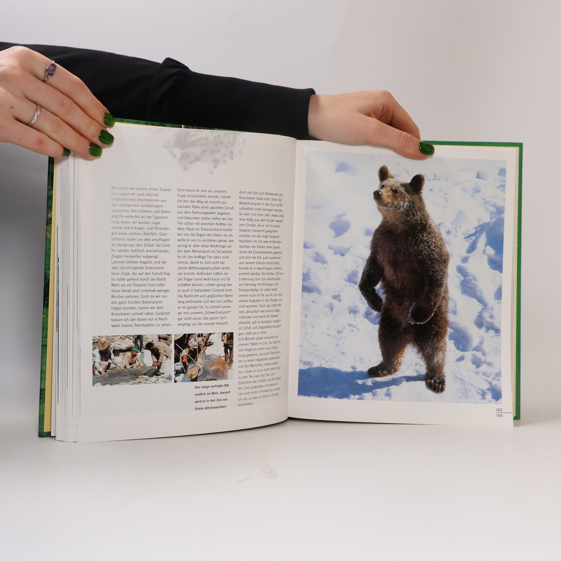 Werner Fend Mein Dschungelbuch