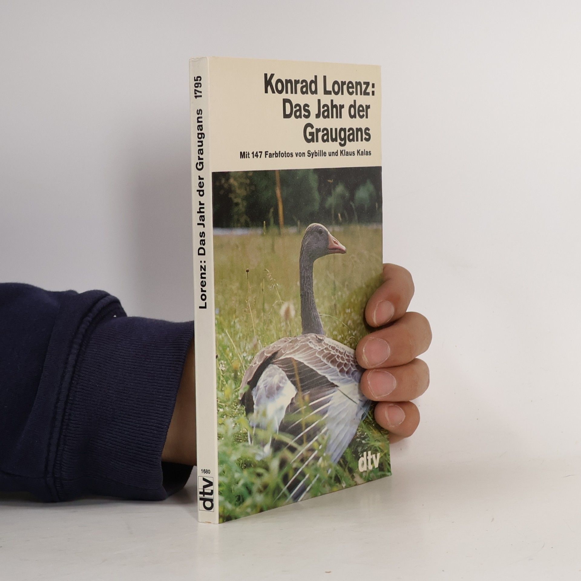 Konrad Lorenz Das Jahr der Graugans