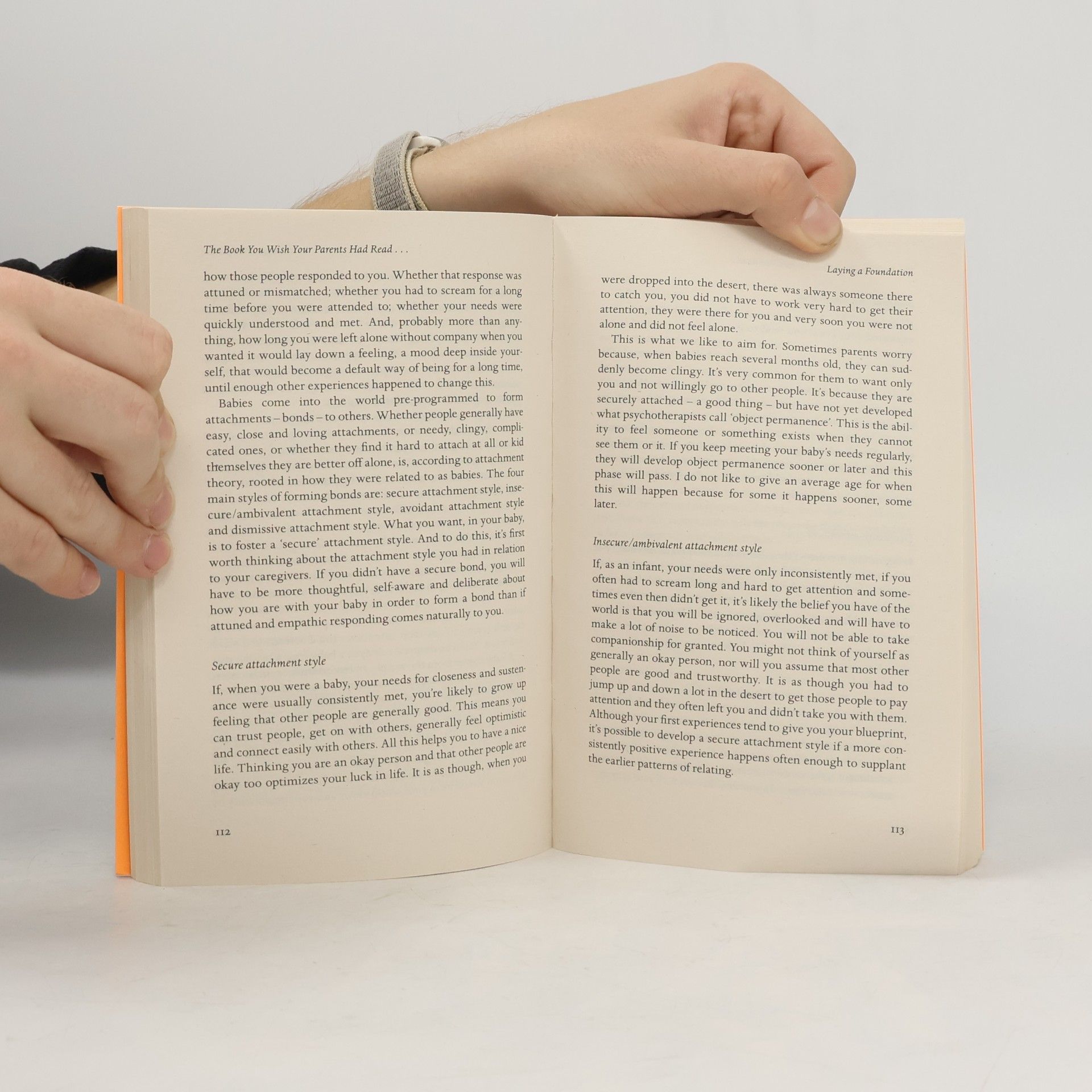 Philippa Perry The Book You Wish Your Parents Had Read (And Your Children Will Be Glad That You Did)