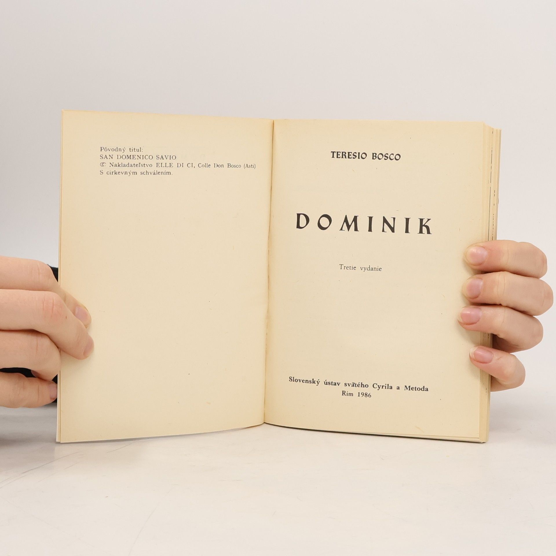 Teresio Bosco Dominik