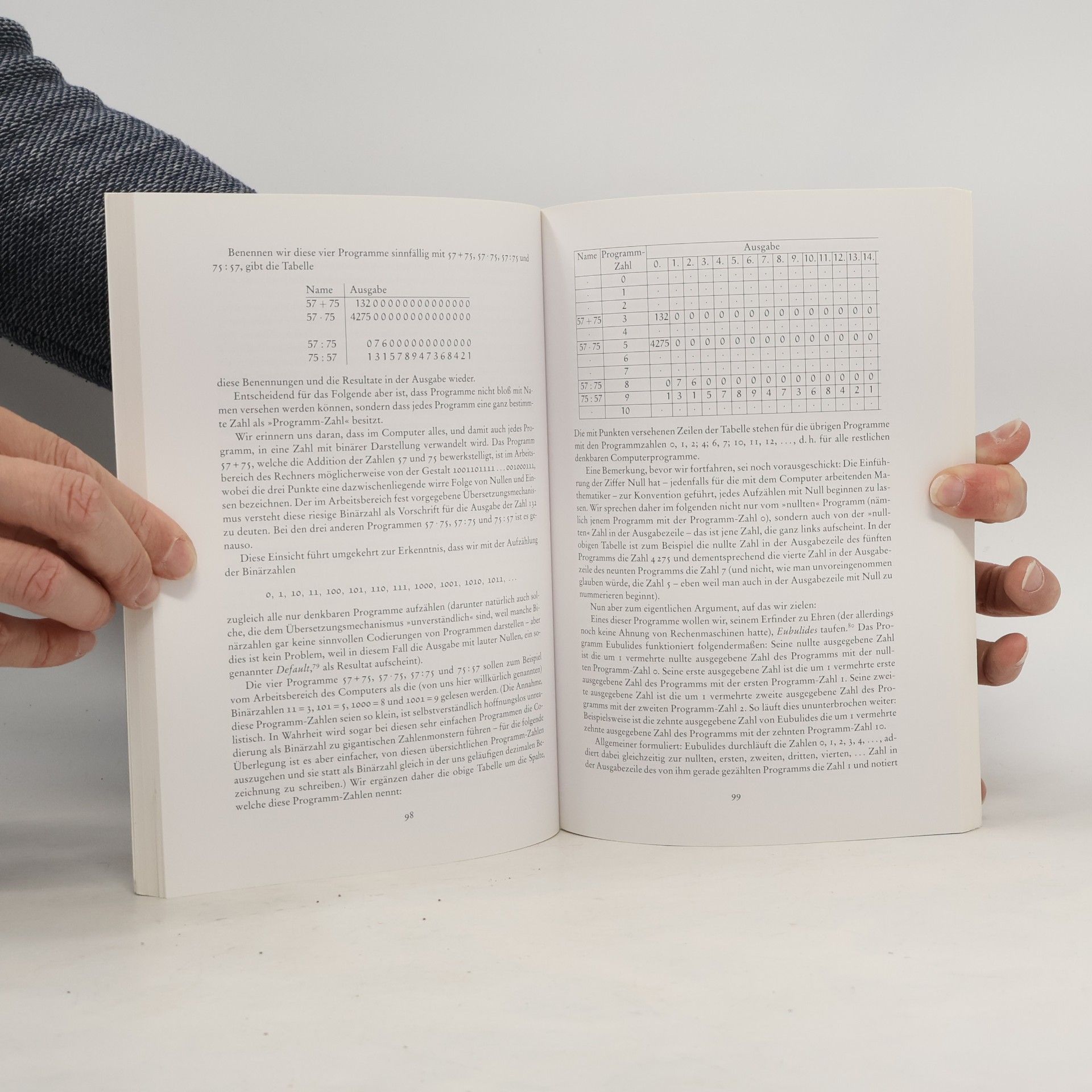 Rudolf Taschner Der Zahlen gigantische Schatten