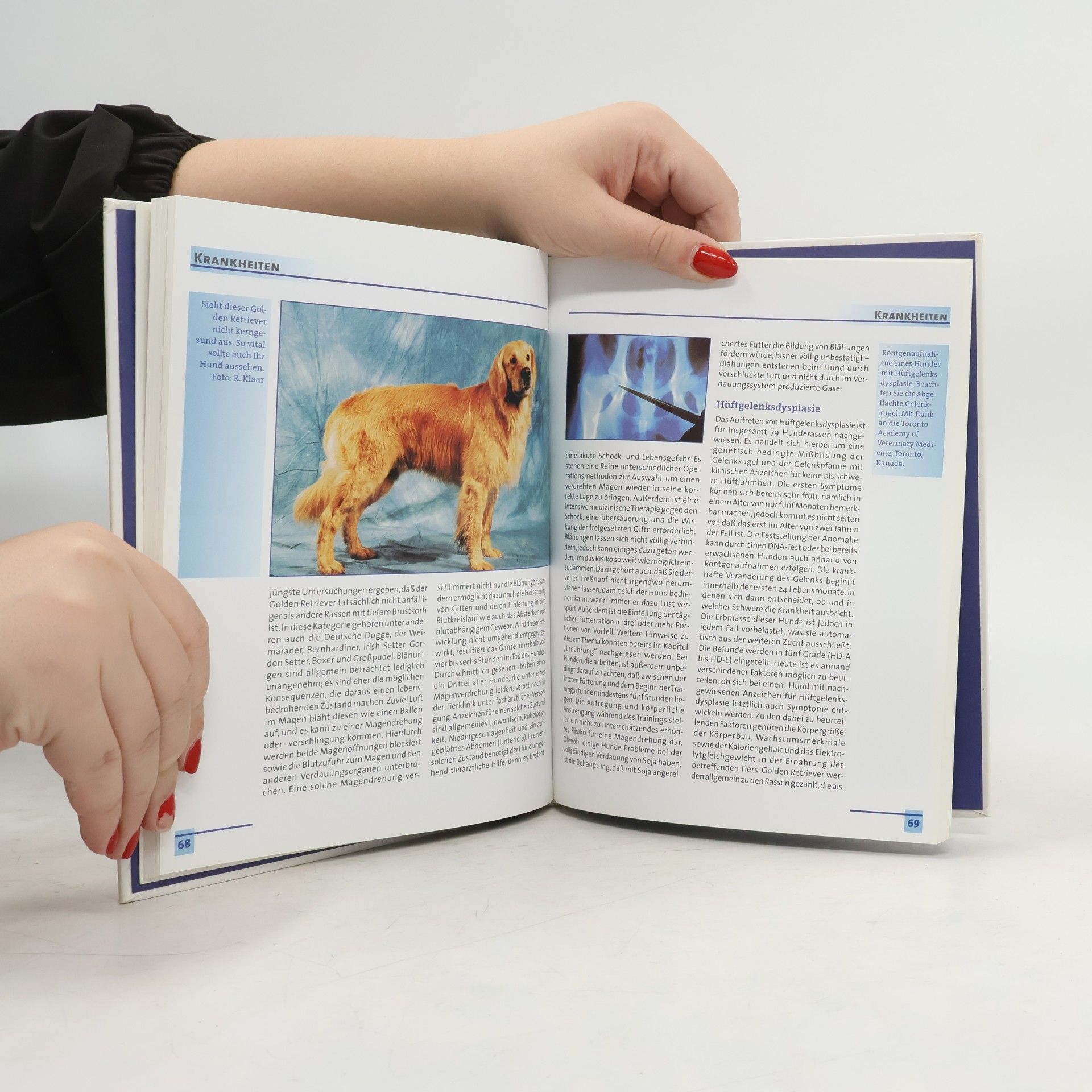 Lowell J. Ackerman Mein gesunder Golden Retriever