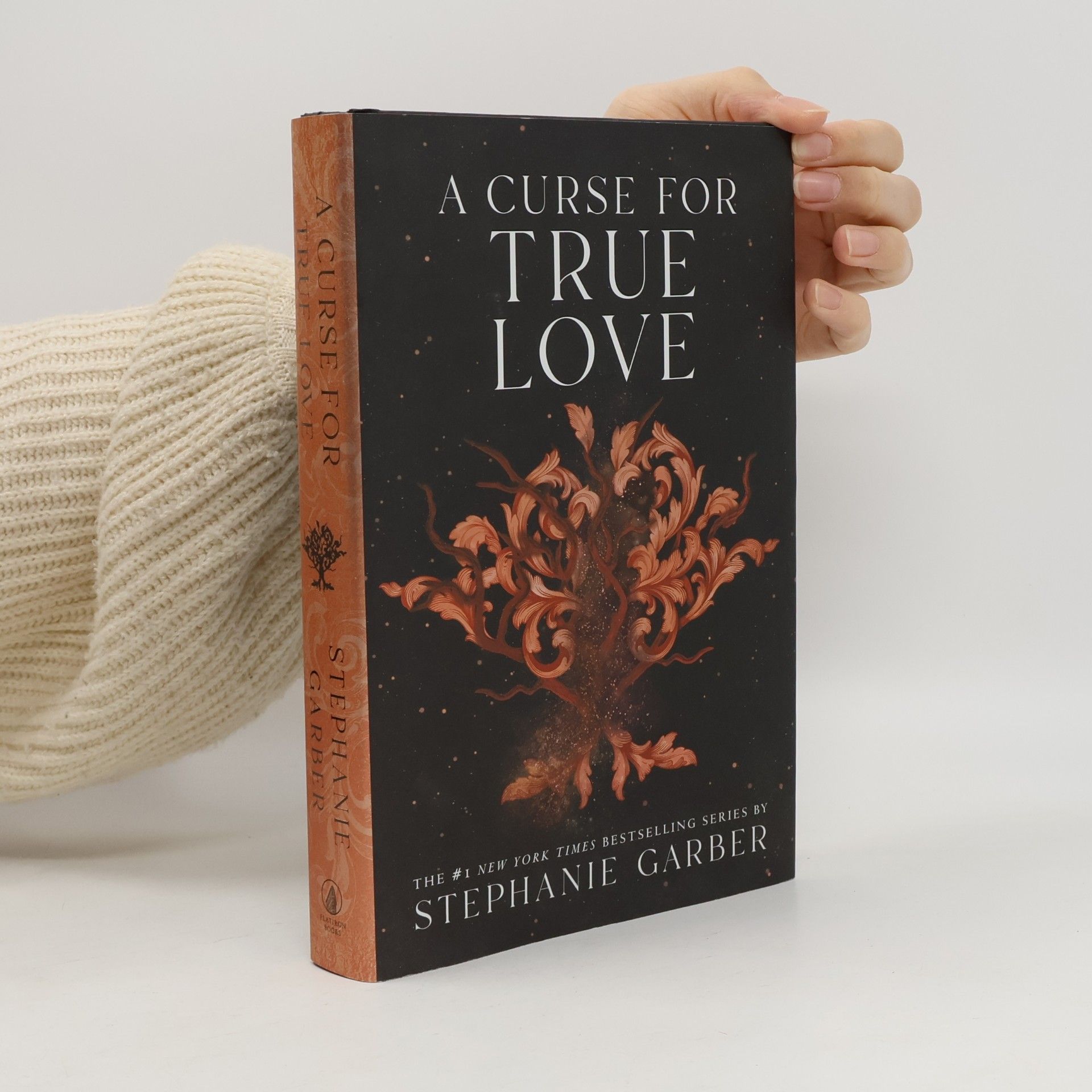 Stephanie Garberová A Curse for True Love