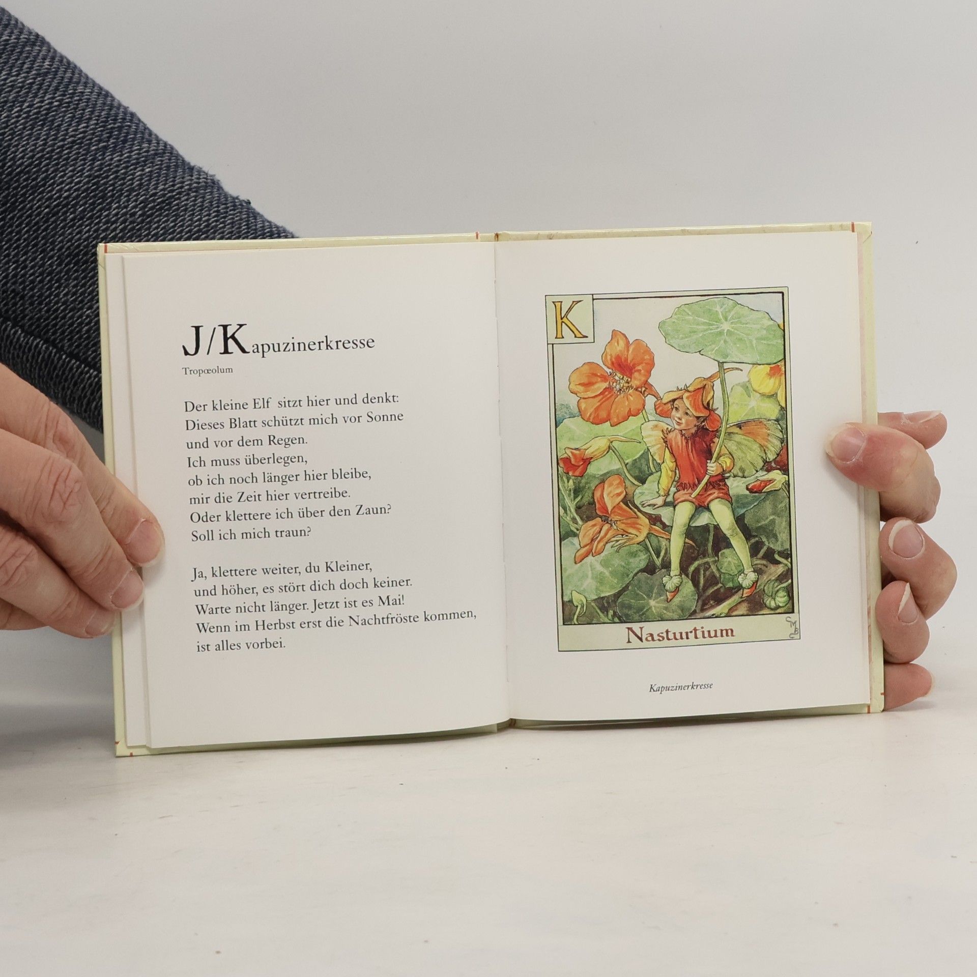 Cicely Mary Barker Flower Fairies Alphabet