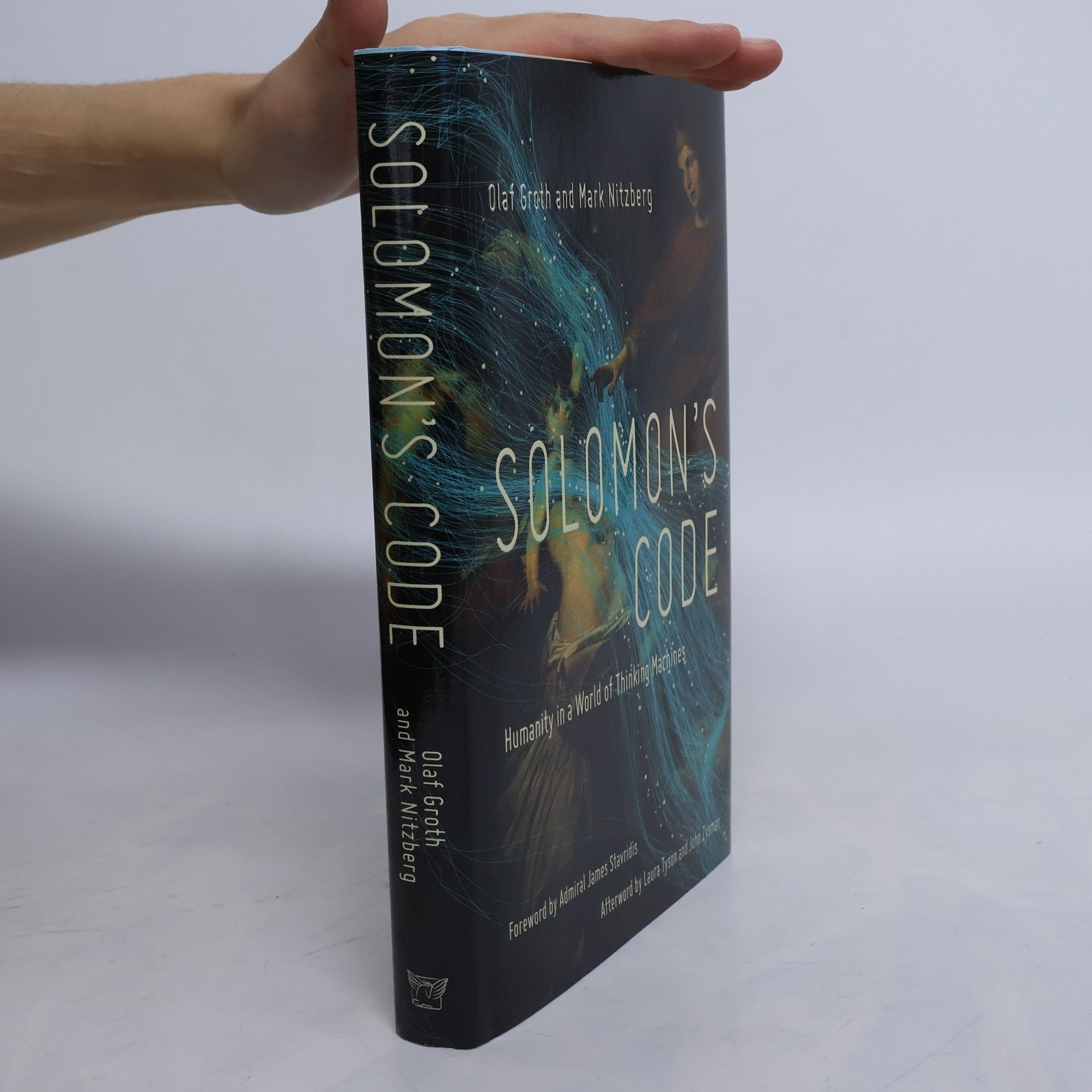 Olaf Groth Solomon's Code