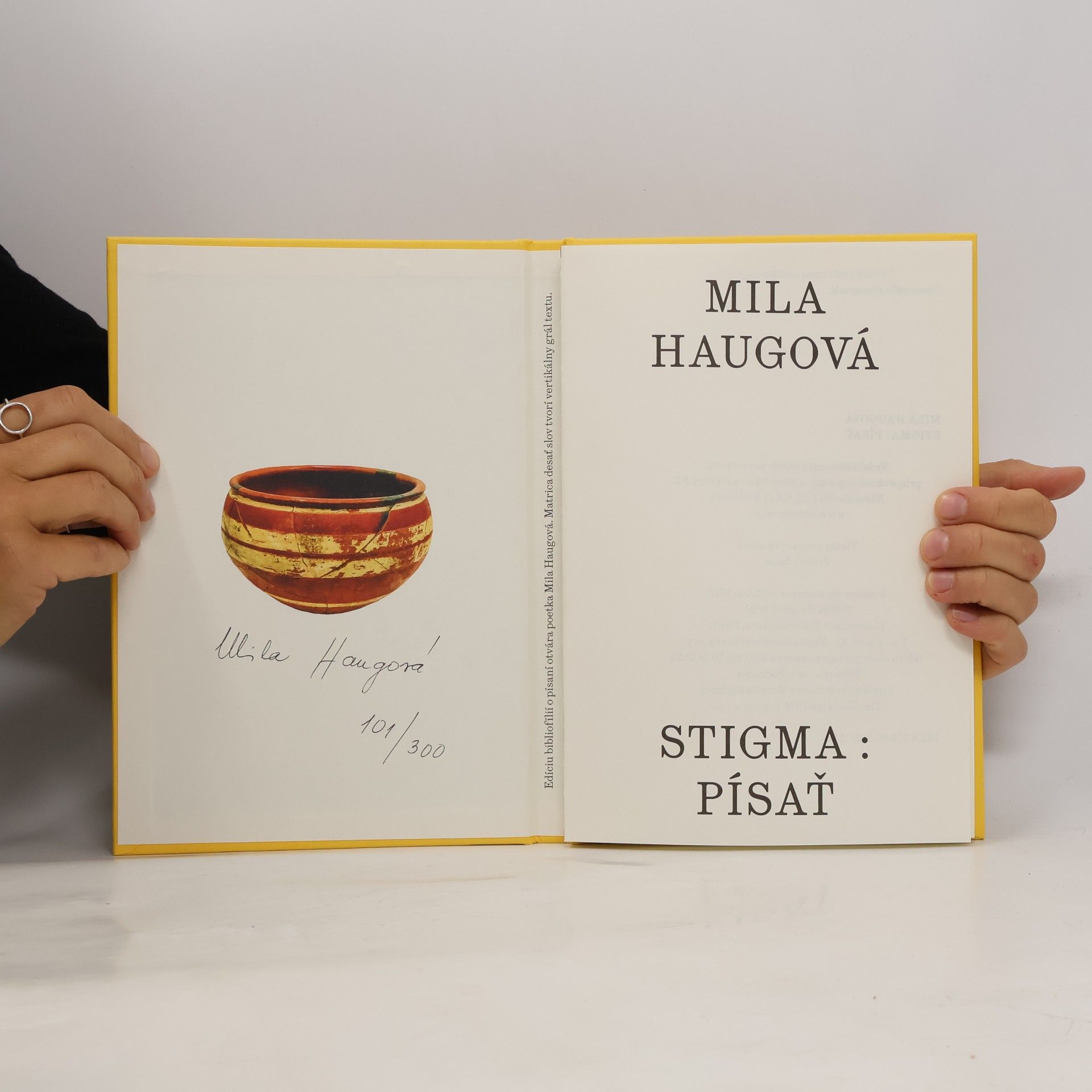 Mila Haugová Stigma
