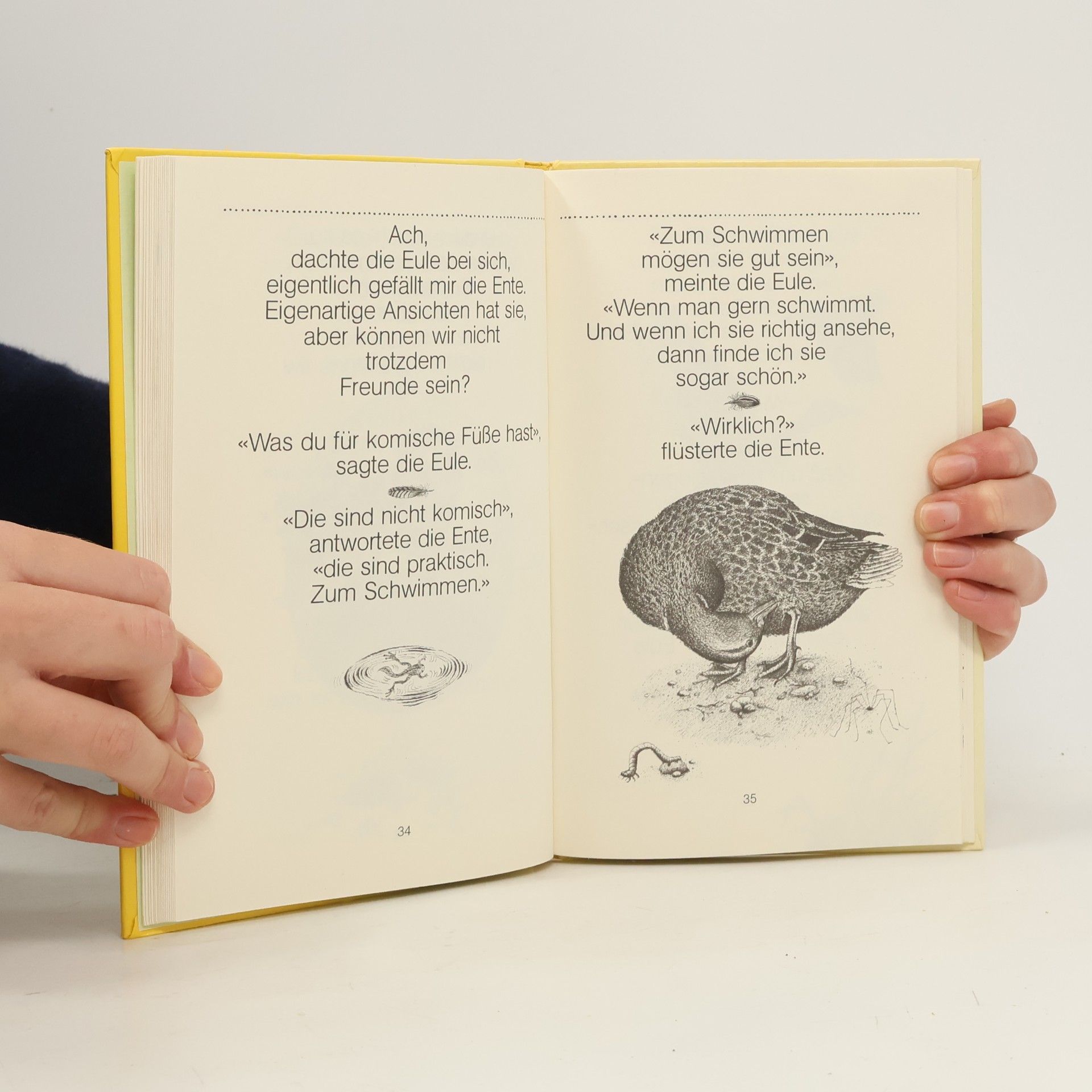 Hanna Johansen Die Ente und die Eule