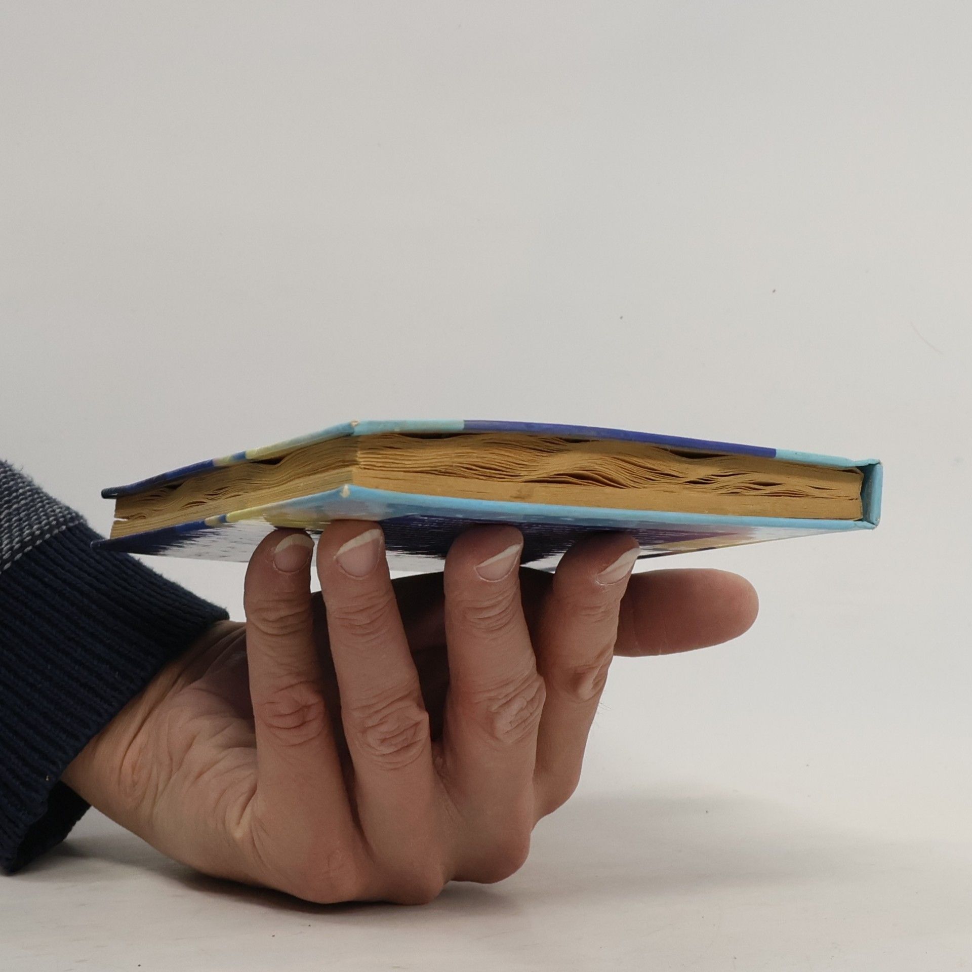 Kolektiv autorů Astrologie