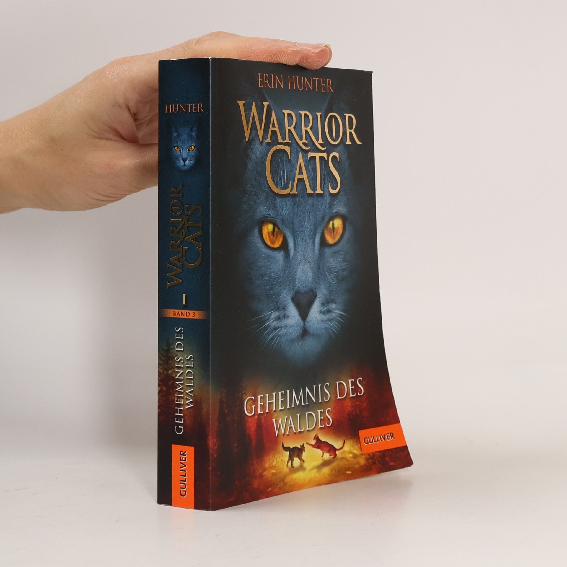 Warrior Cats. Geheimnis des Waldes