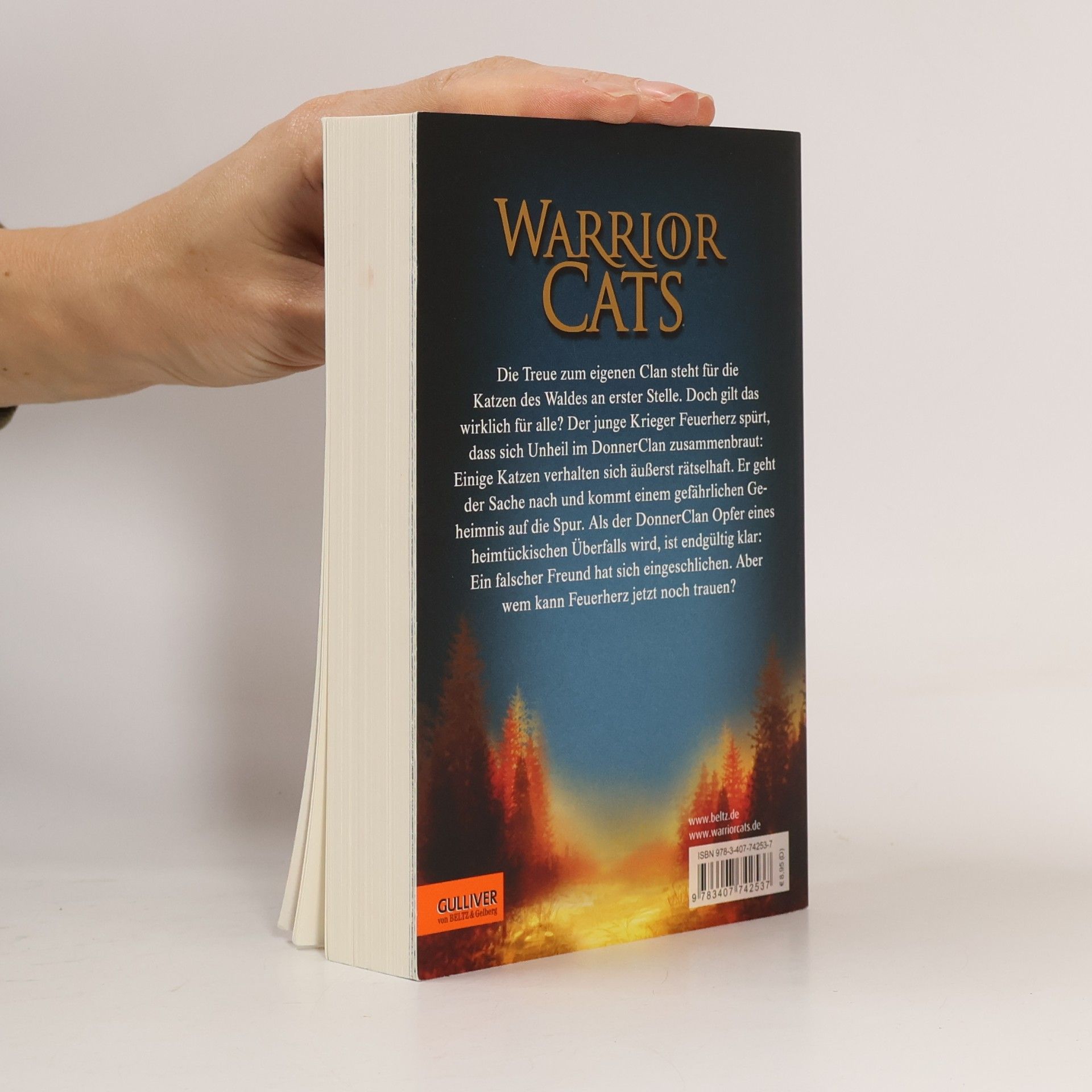 Erin Hunter Warrior Cats. Geheimnis des Waldes