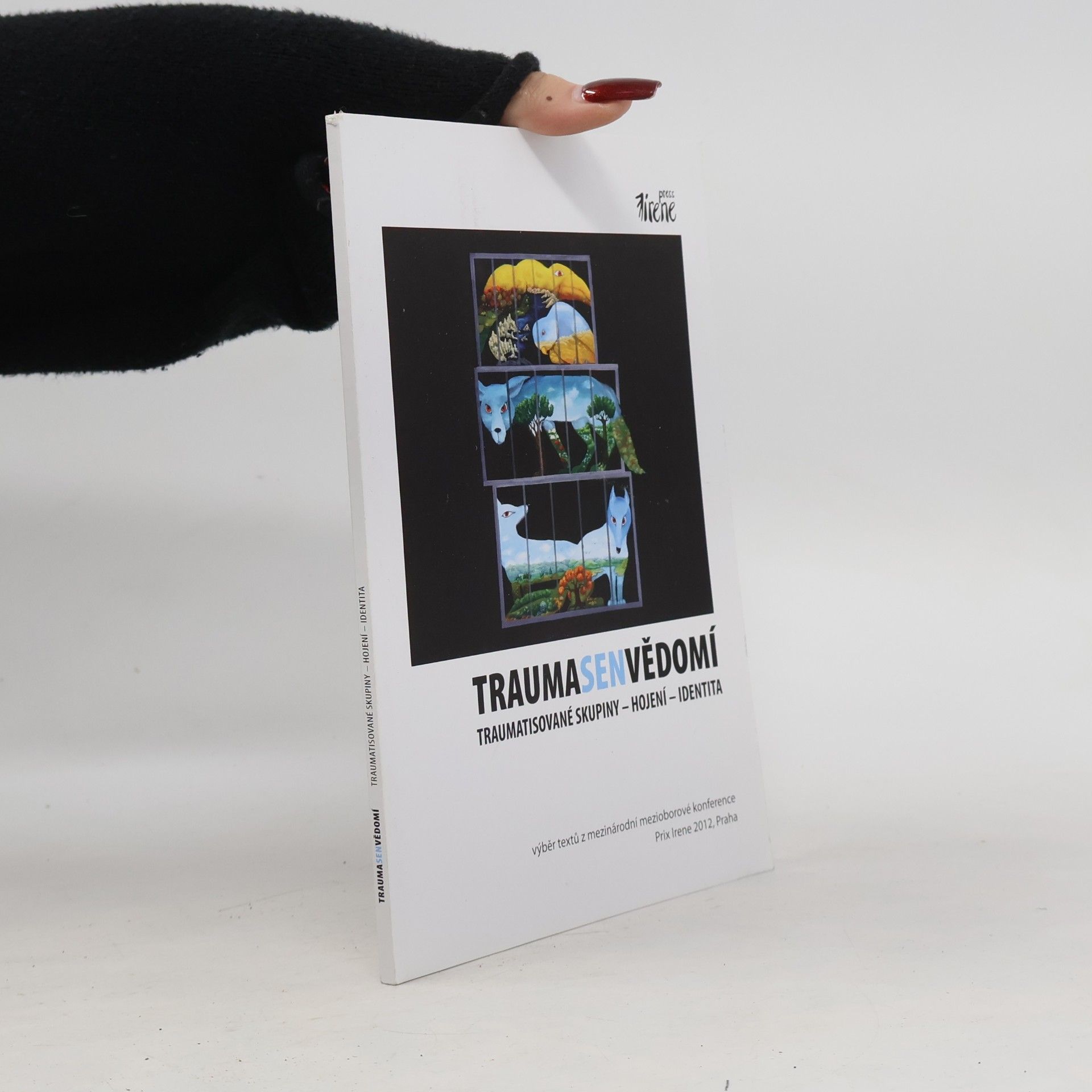 Kolektiv autorů Traumasenvědomí