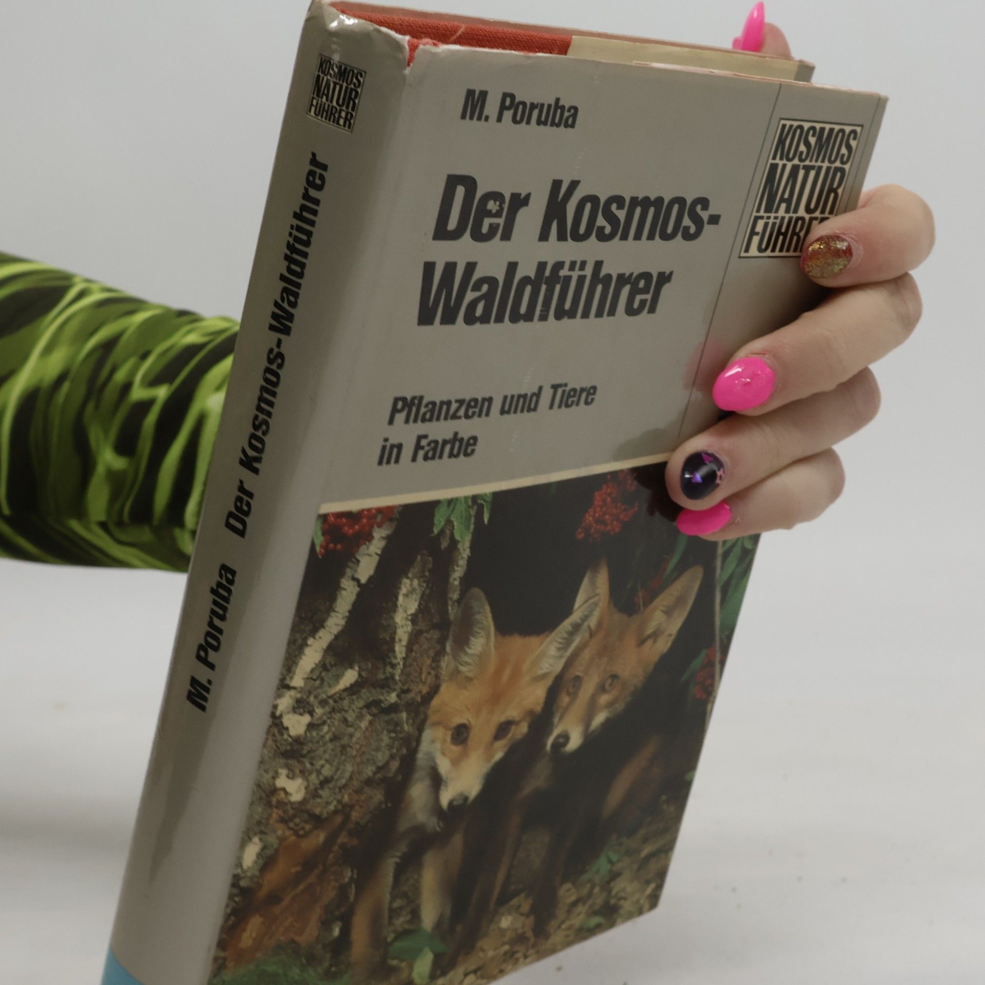 Miroslav Poruba Der Kosmos-Waldführer