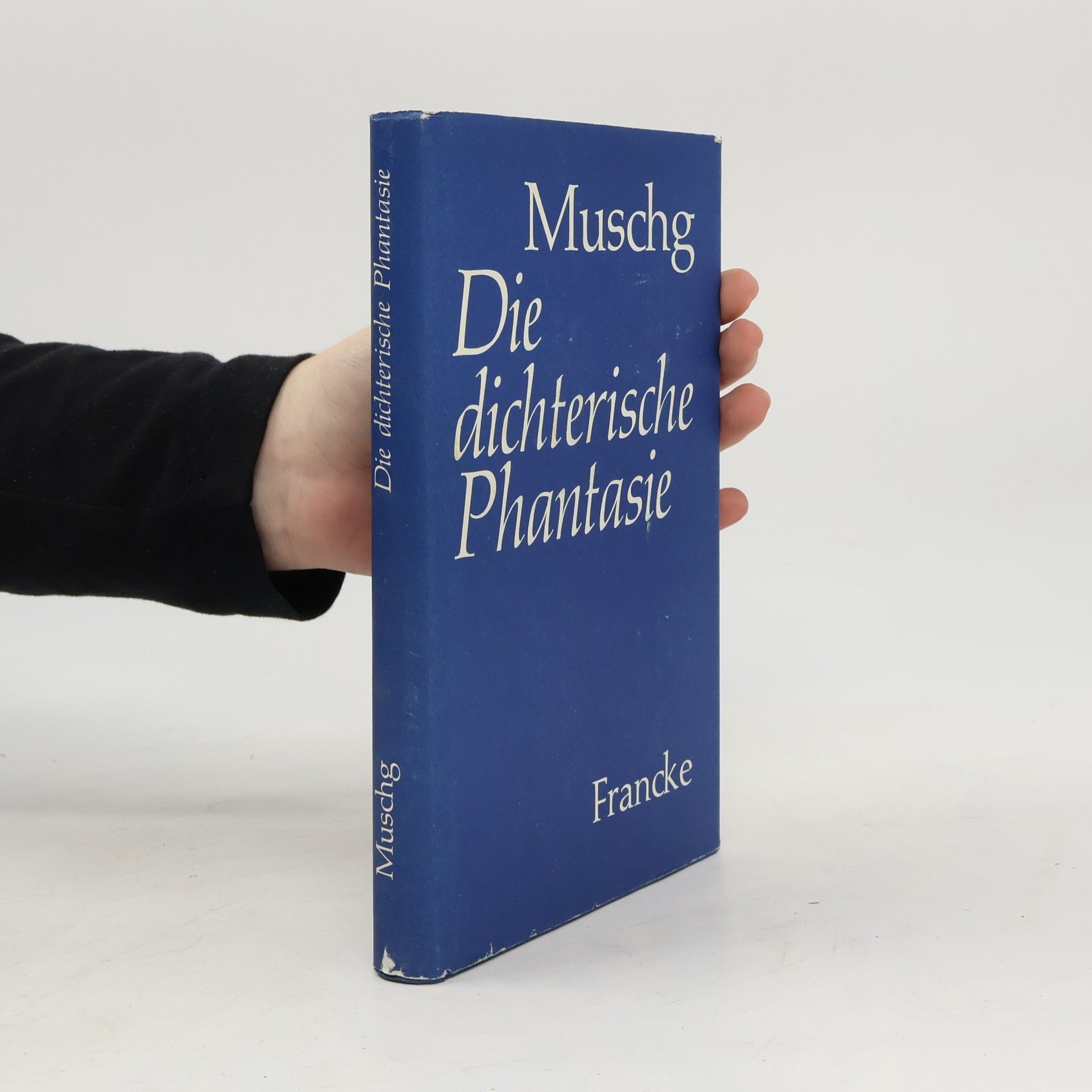 Die dichterische Phantasie
