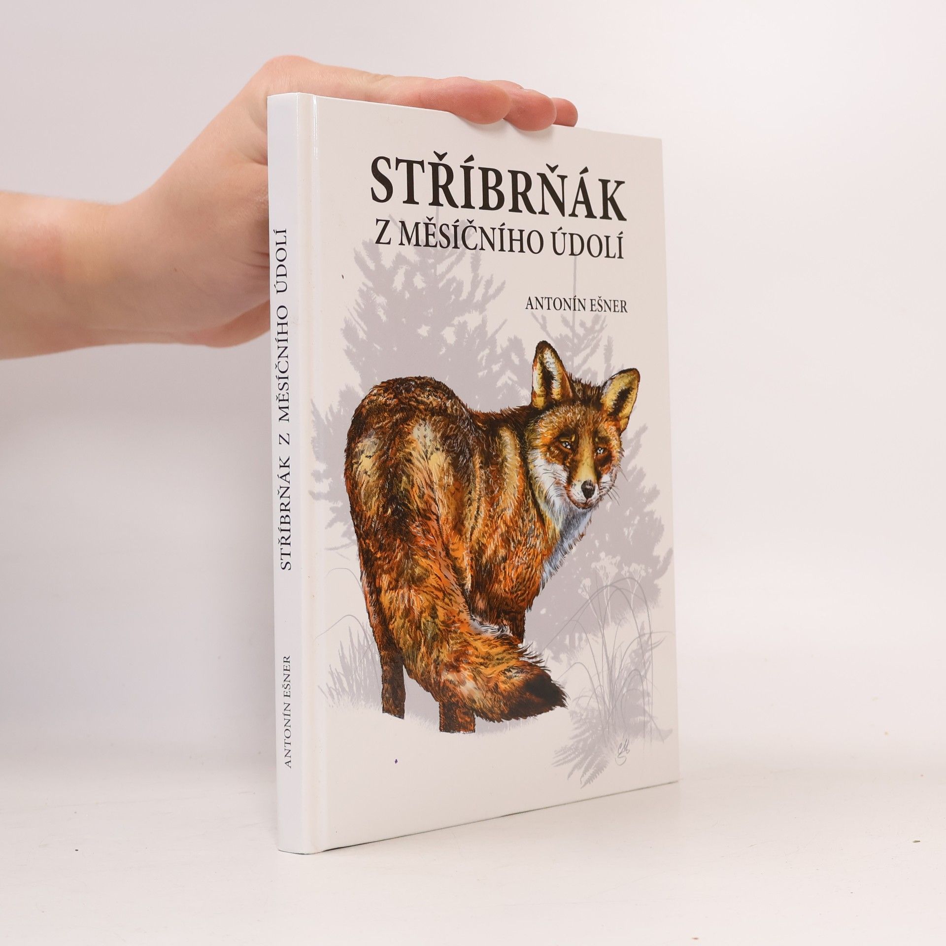 Stříbrňák z Měsíčního údolí