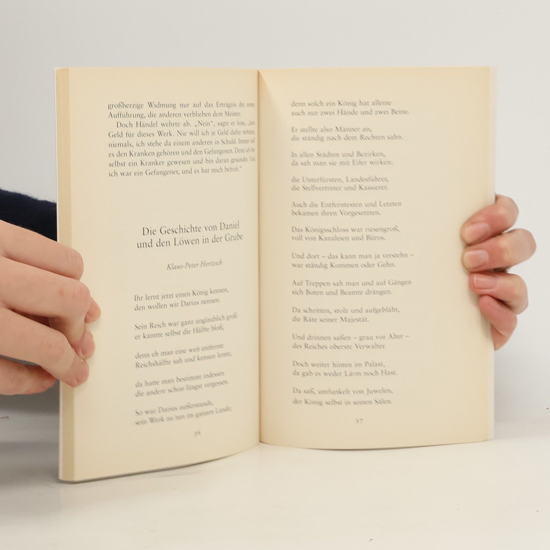 Cornelia Haverkamp Das versteigerte Buch